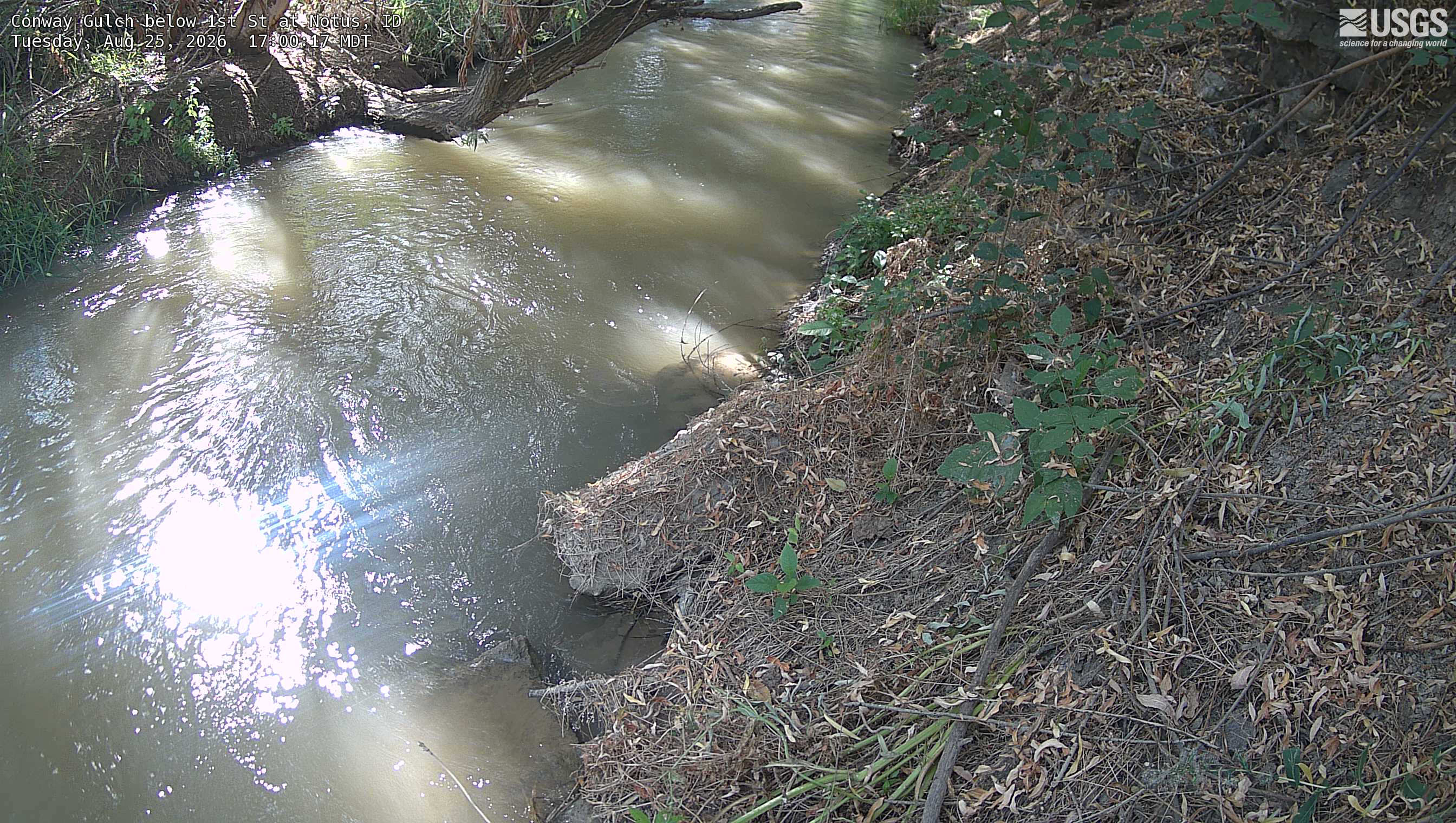 Most recent image at Conway Gulch below 1st St at Notus