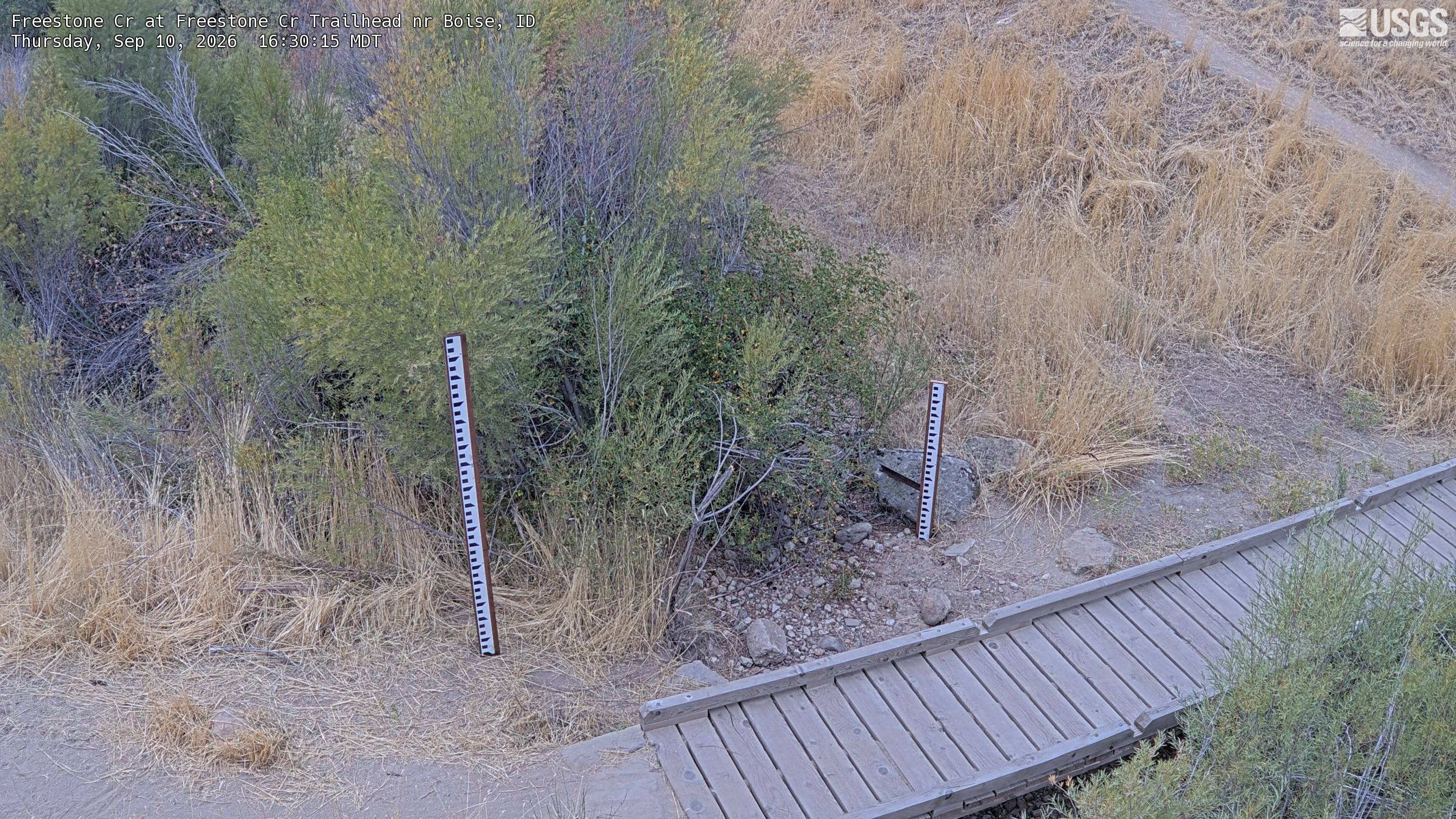 Most recent image at Freestone Cr at Freestone Cr Trailhead nr Boise