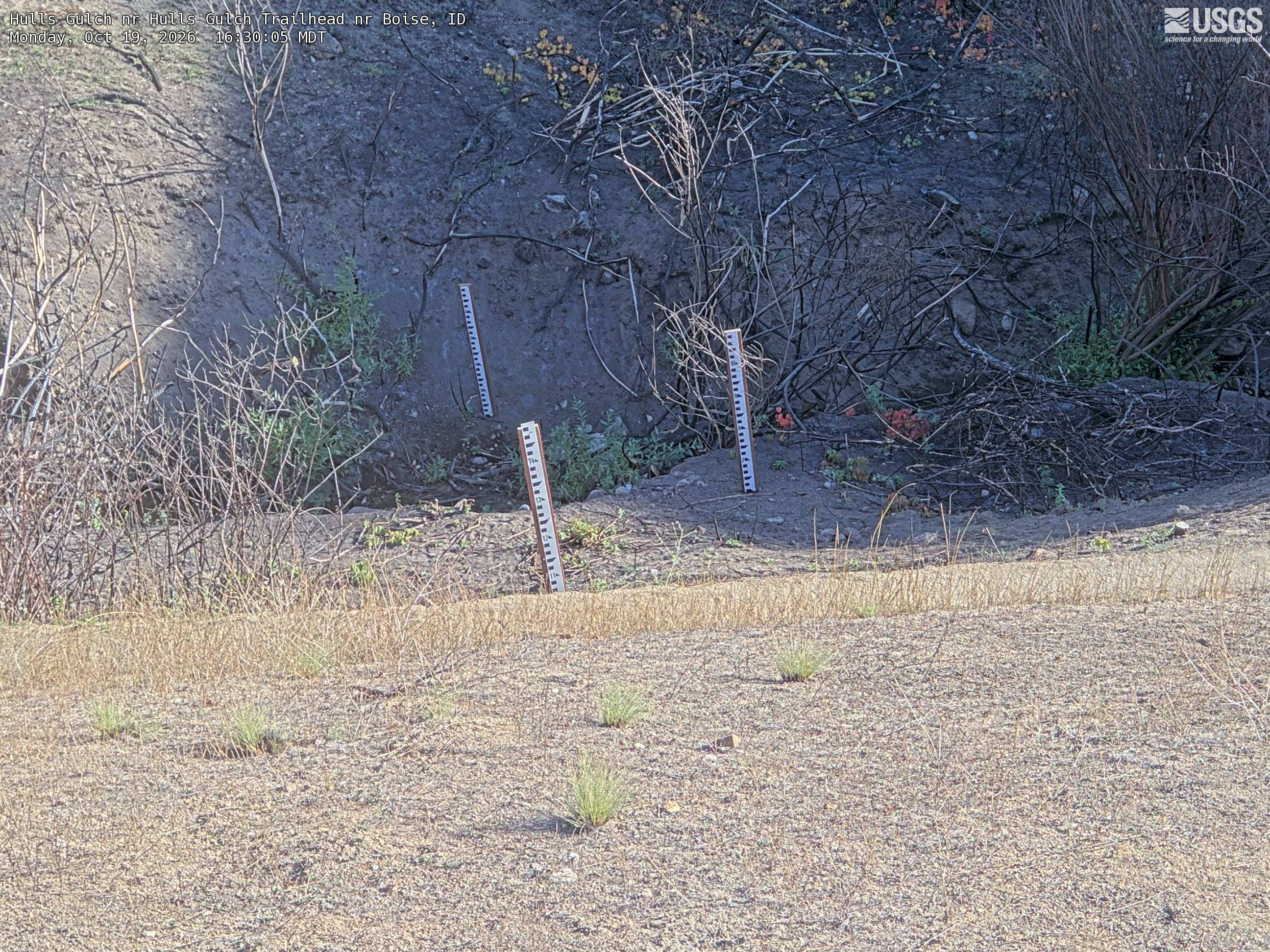 Most recent image at Hulls Gulch nr Hulls Gulch Trailhead nr Boise