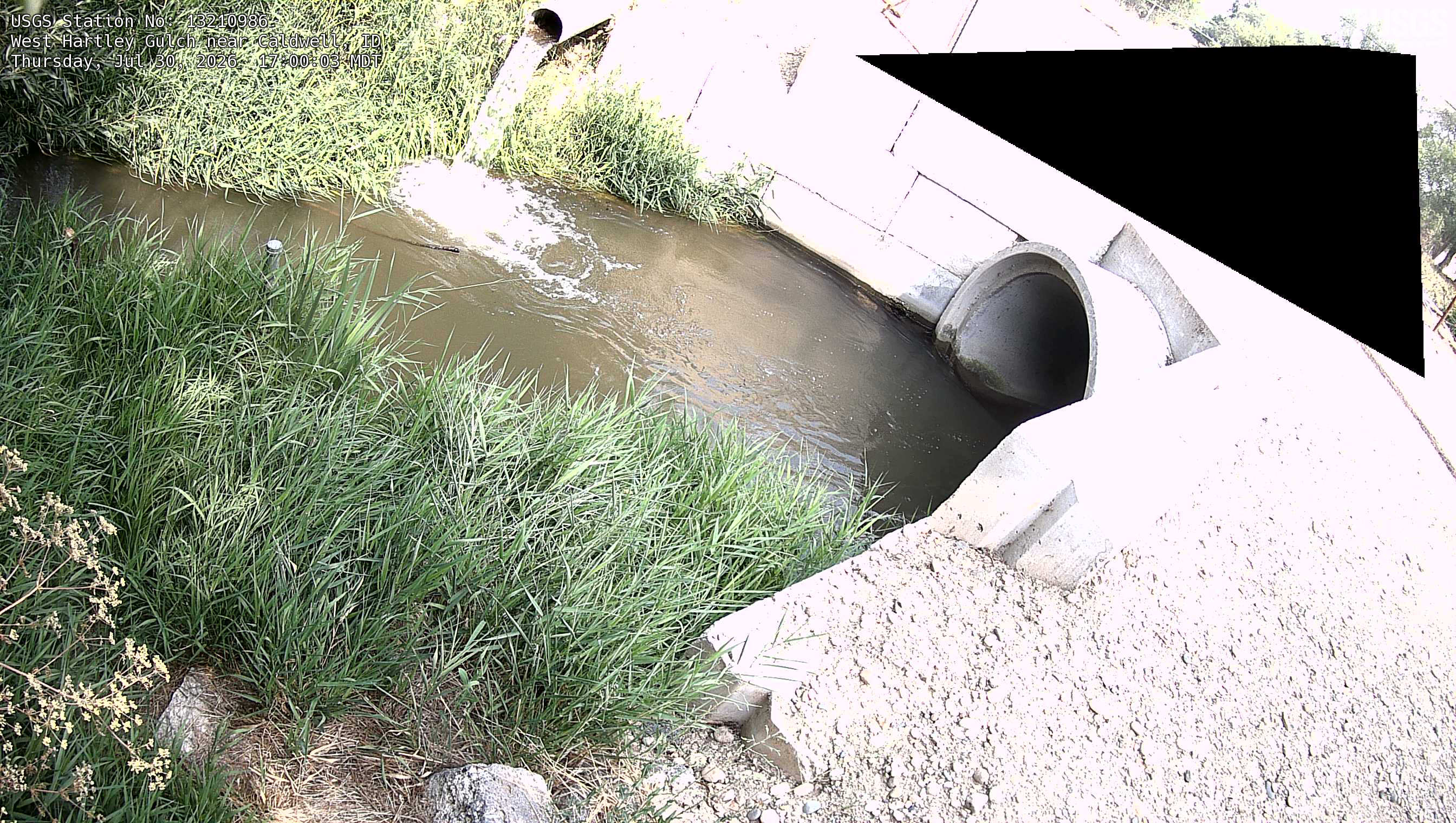 Most recent image at West Hartley Gulch near Caldwell