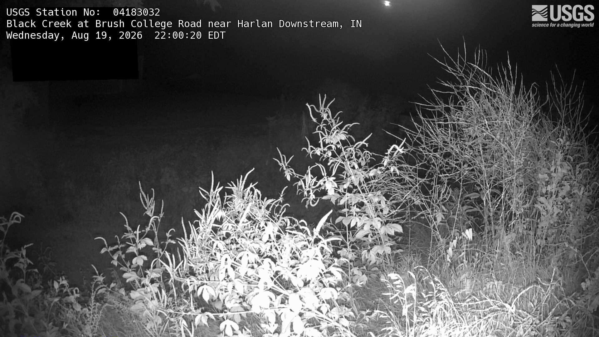 Most recent image at Black Creek at Brush College Road near Harlan Downstream