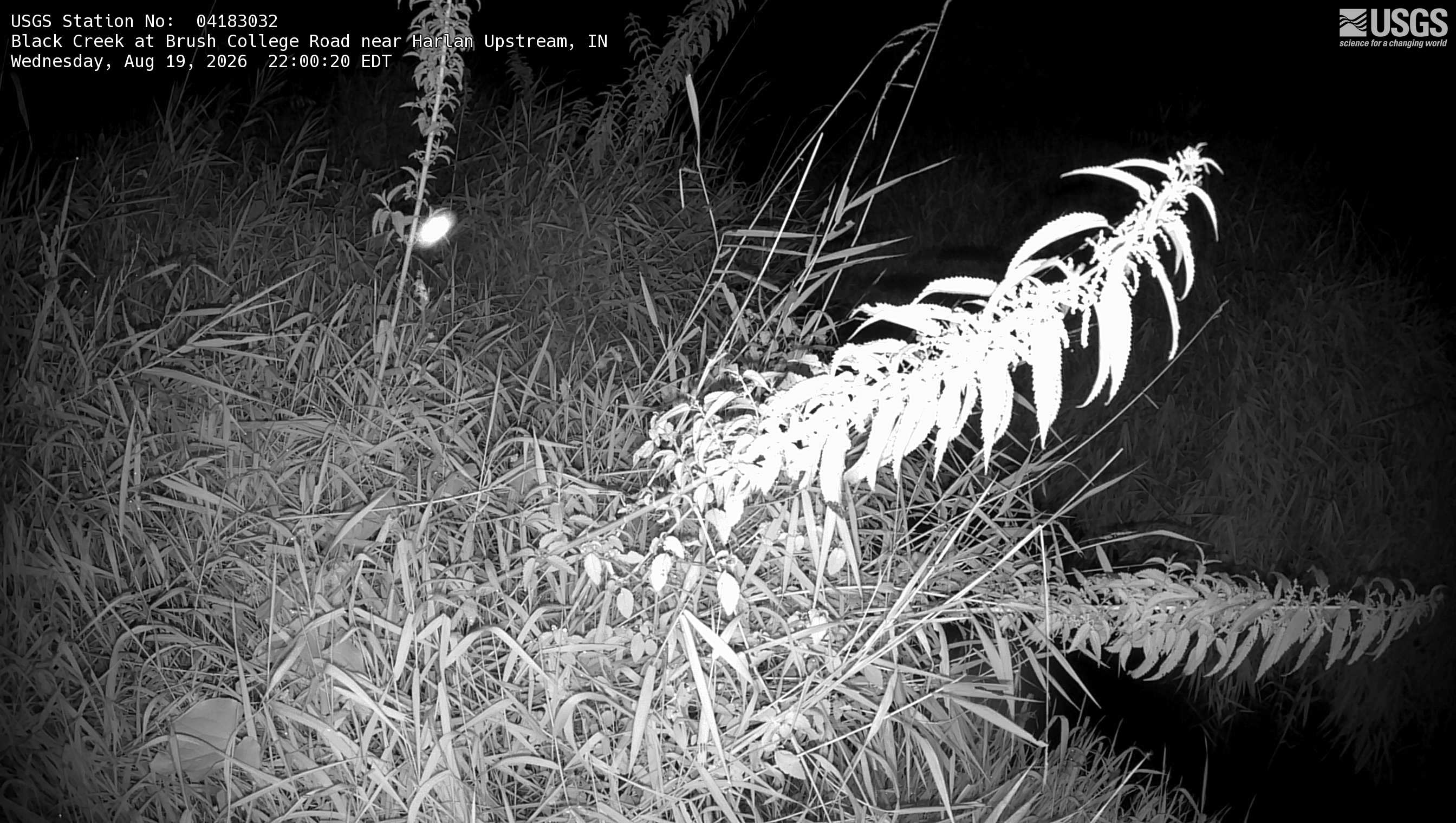 Most recent image at Black Creek at Brush College Road near Harlan Upstream