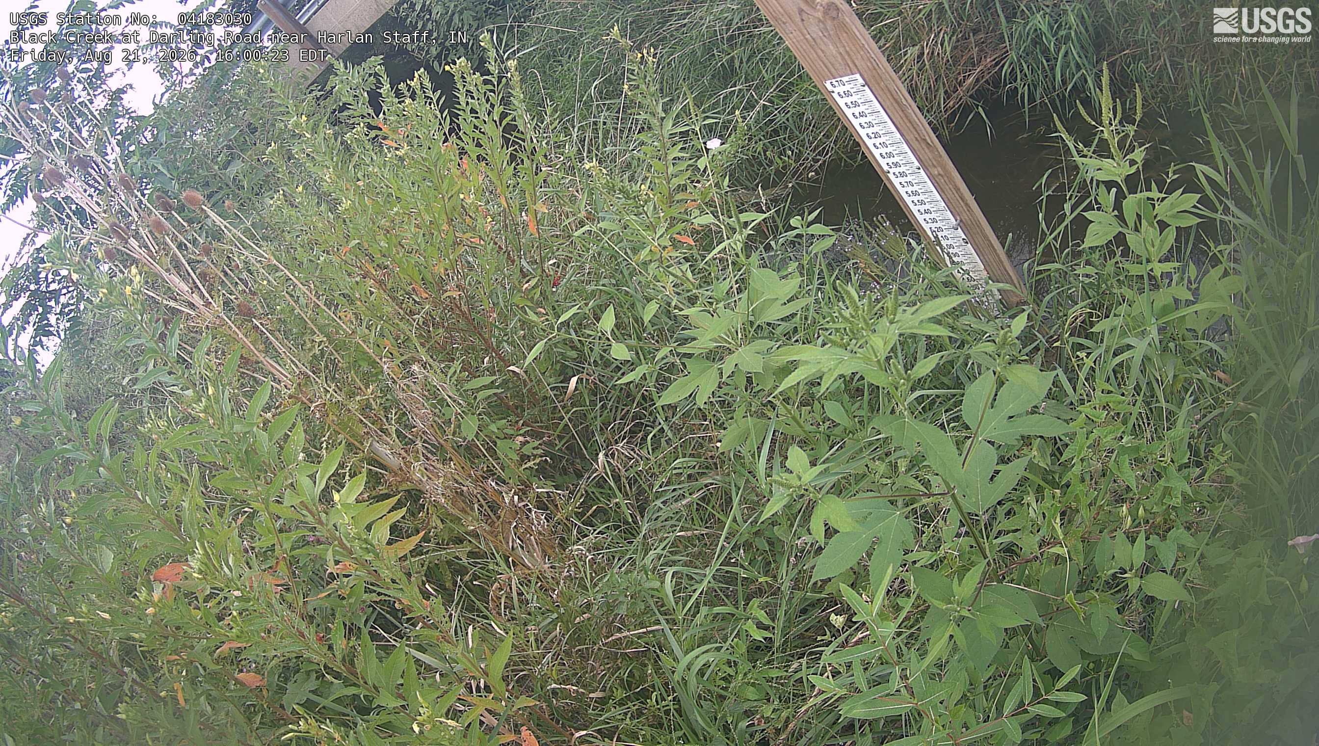 Most recent image at Black Creek at Darling Road near Harlan Staff