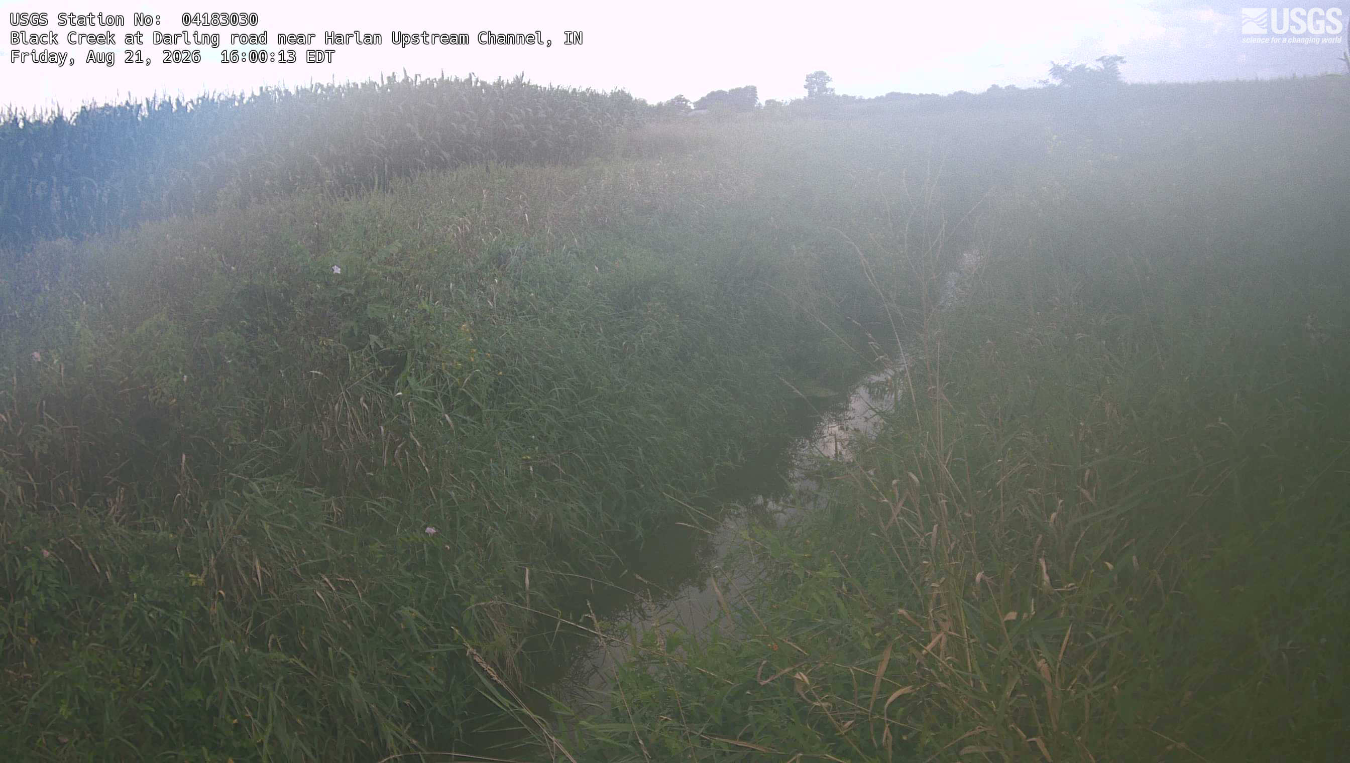 Most recent image at Black Creek at Darling road near Harlan Upstream Channel