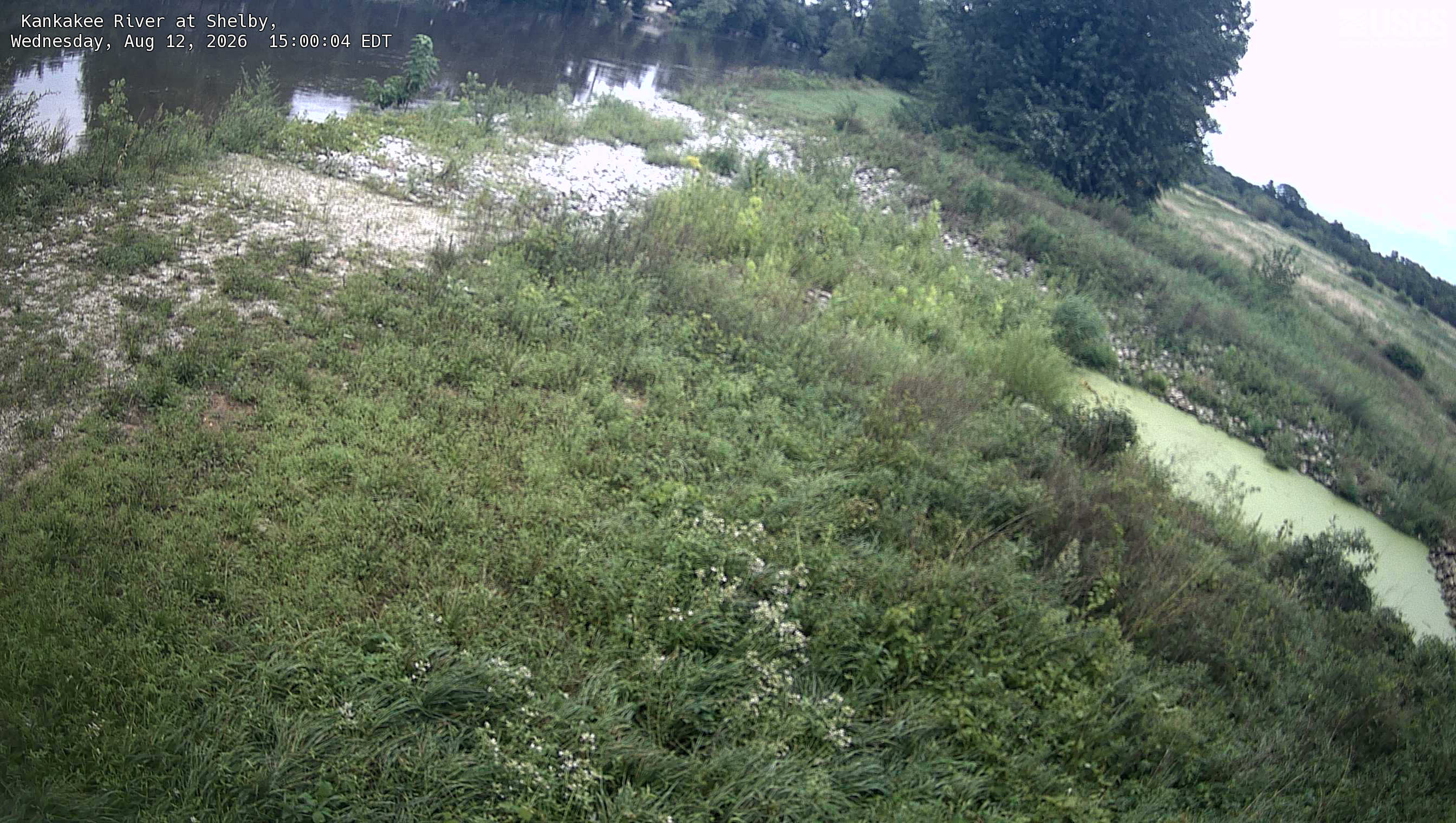 Most recent image at Kankakee River at Shelby