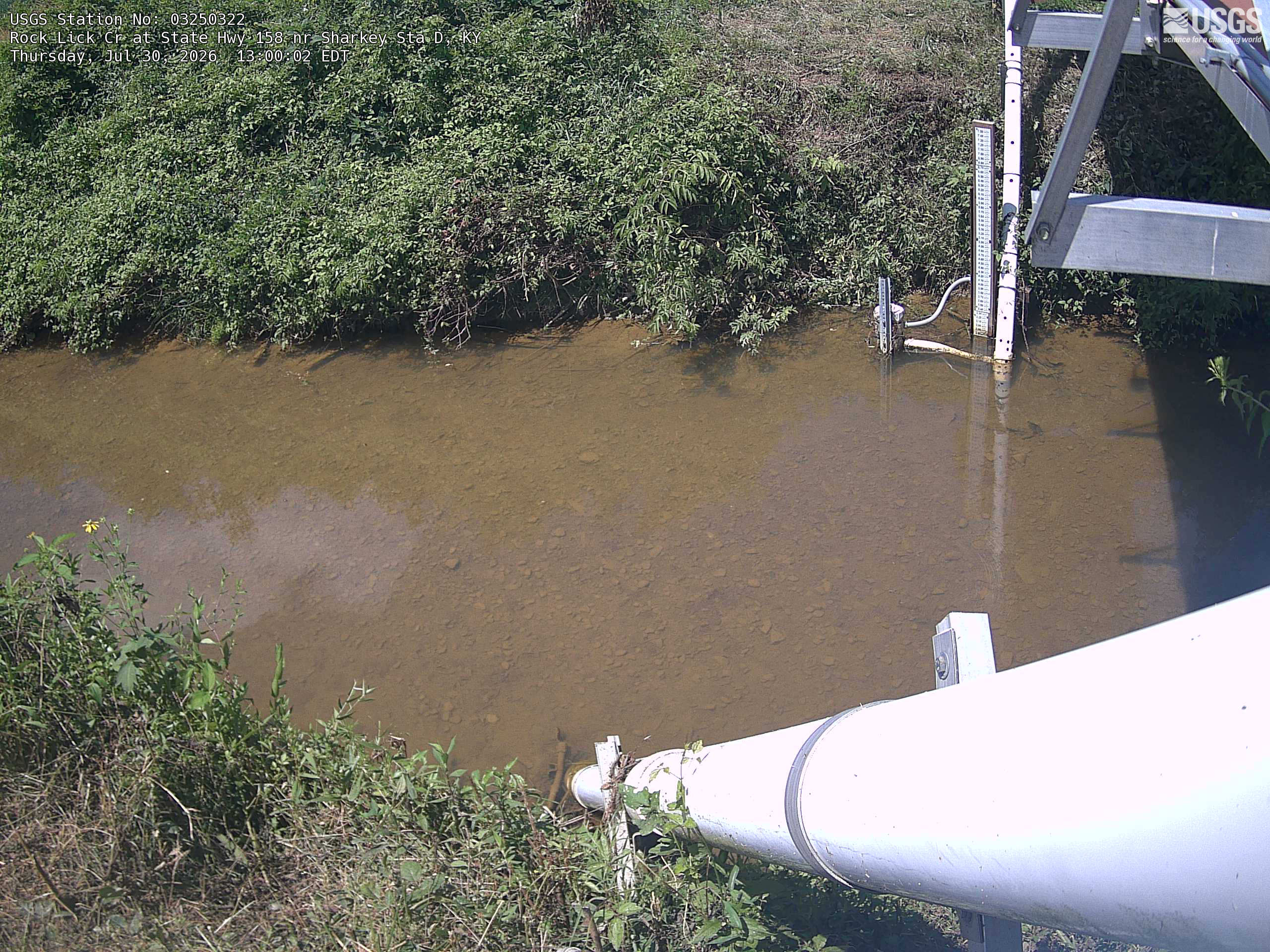 Most recent image at Rock Lick Cr at State Hwy 158 nr Sharkey Sta D