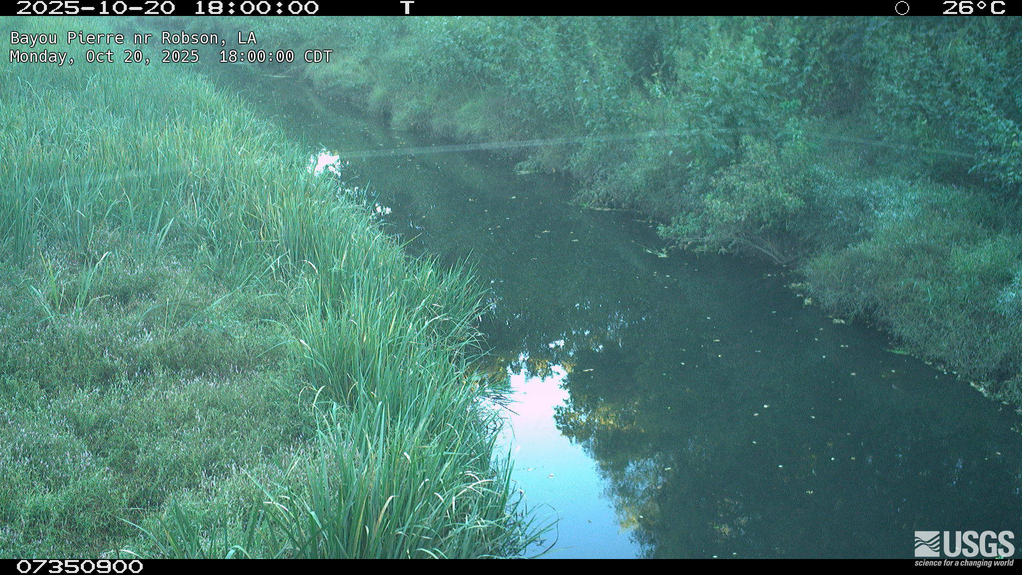 Most recent image at Bayou Pierre nr Robson