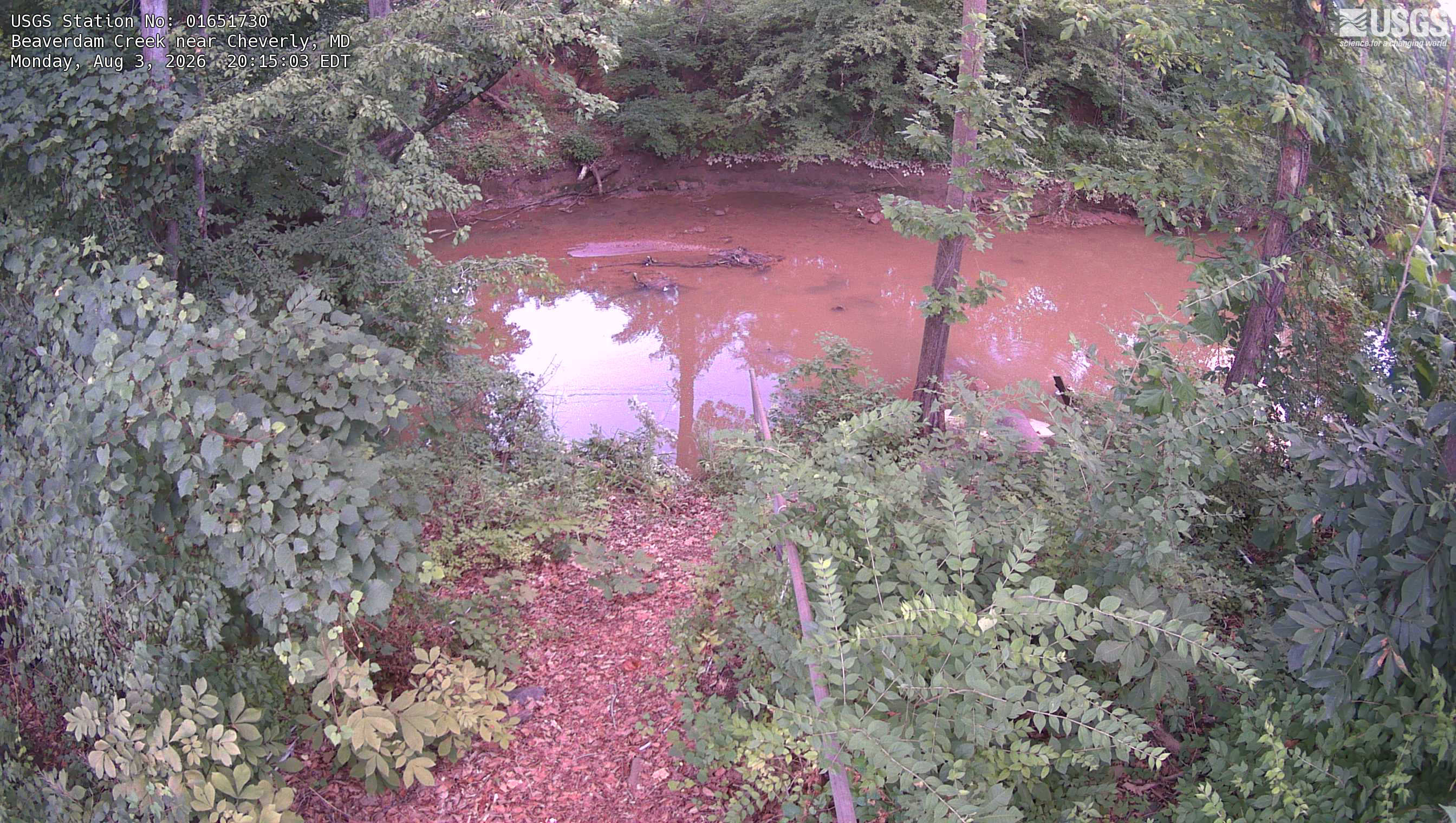 Most recent image at Beaverdam Creek near Cheverly