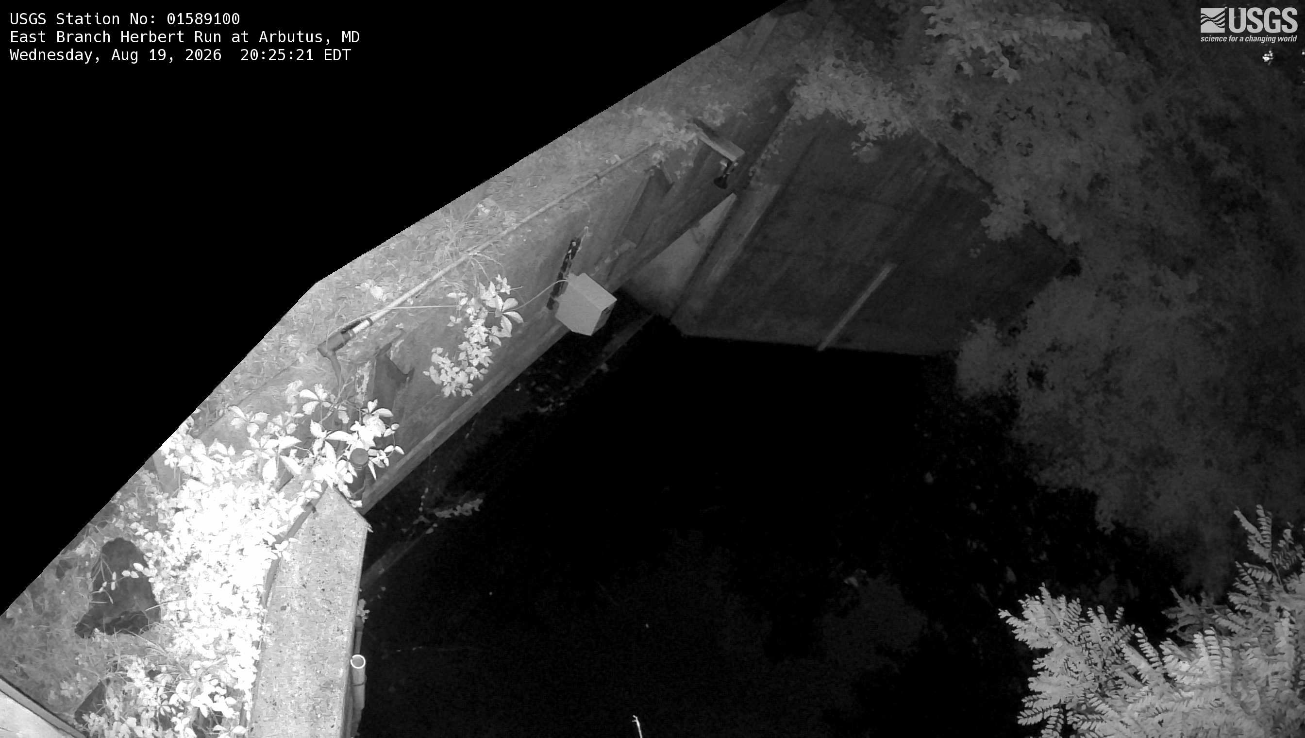 Most recent image at East Branch Herbert Run at Arbutus