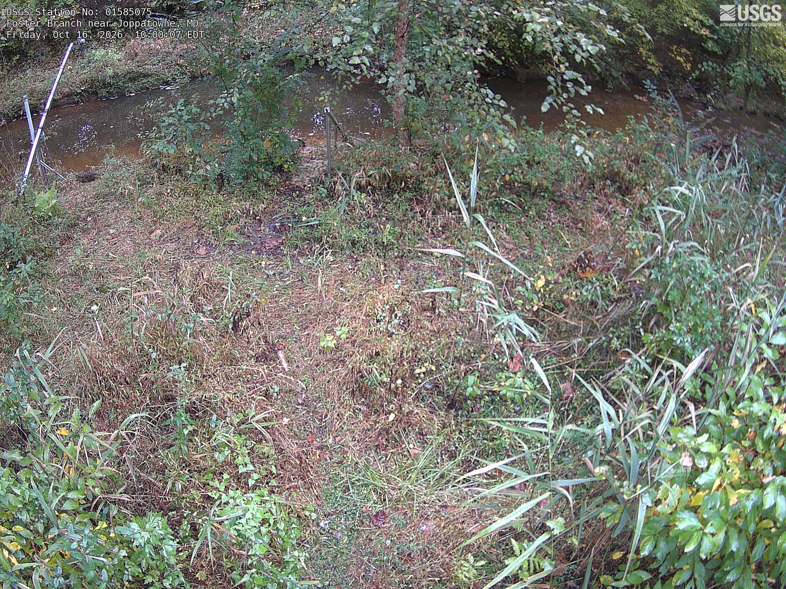 Most recent image at Foster Branch near Joppatowne