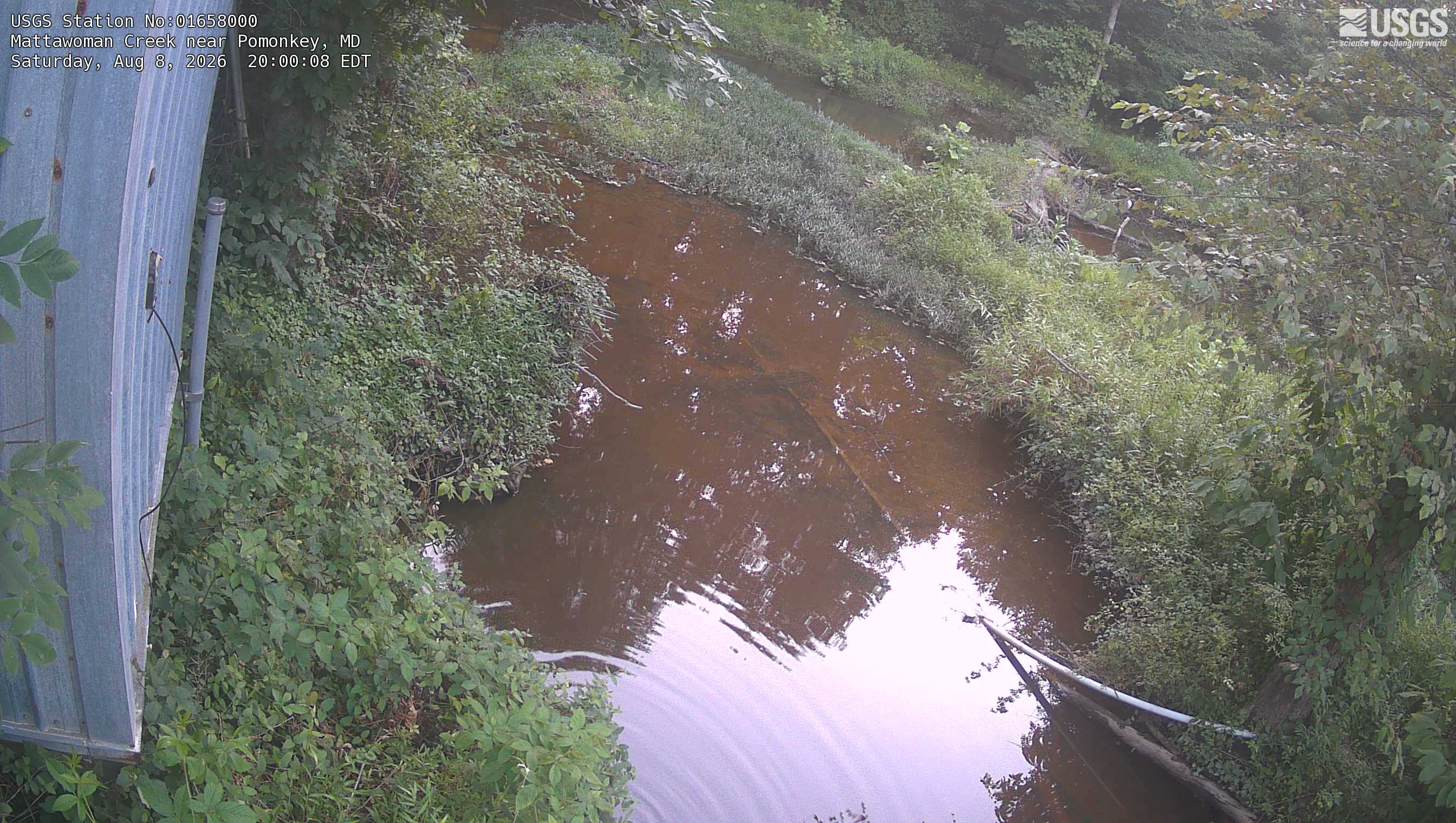 Most recent image at Mattawoman Creek near Pomonkey