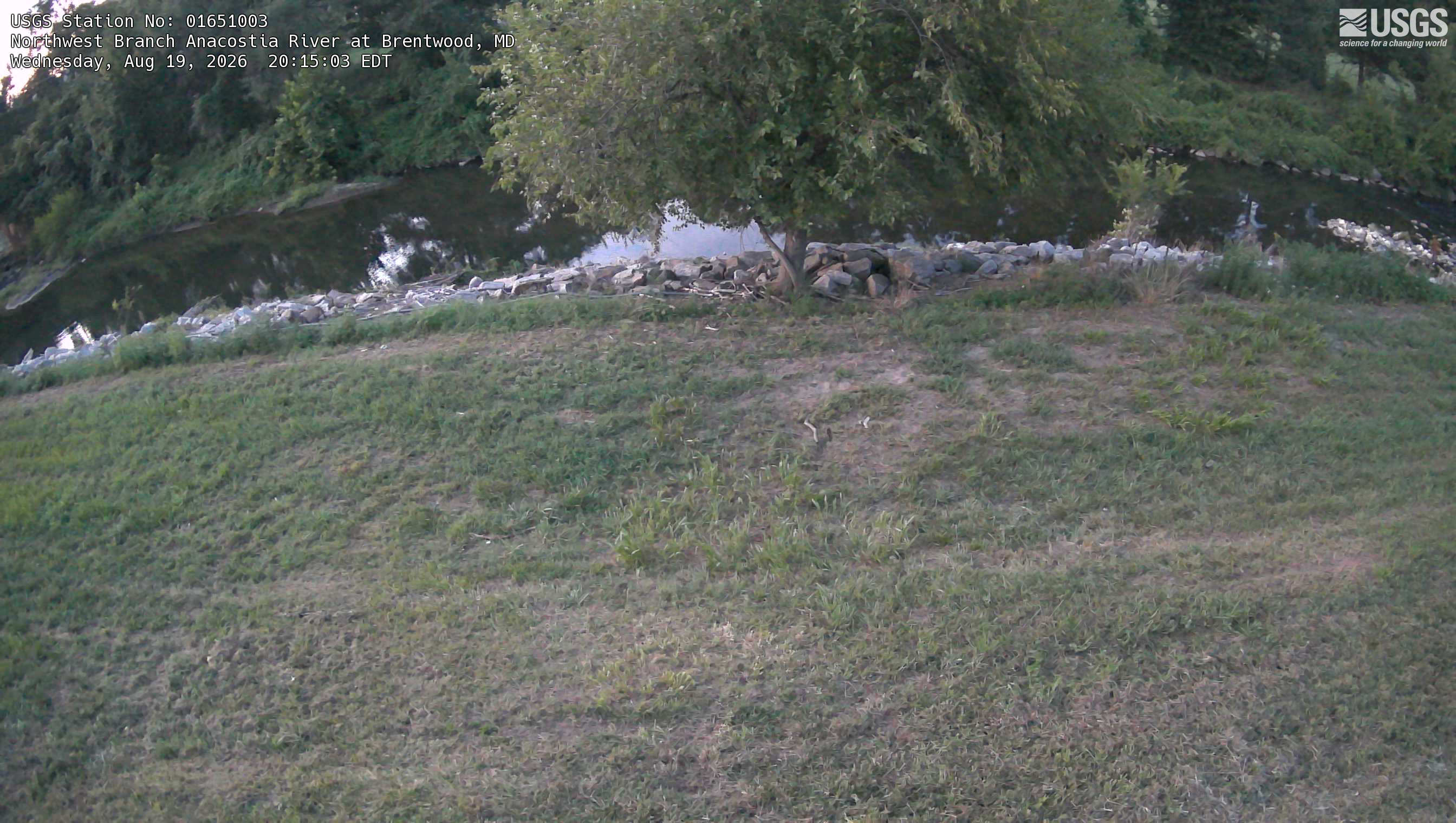 Most recent image at Northwest Branch Anacostia River at Brentwood