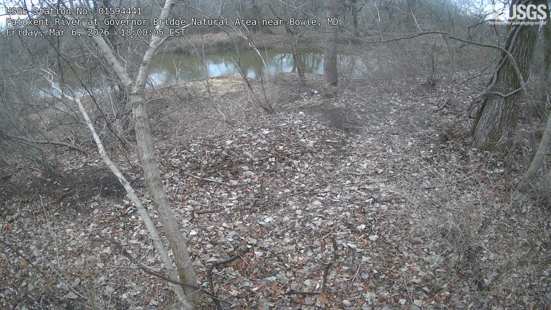 USGS HIVIS CAM Patuxent River at Governor Bridge Natural Area near Bowie