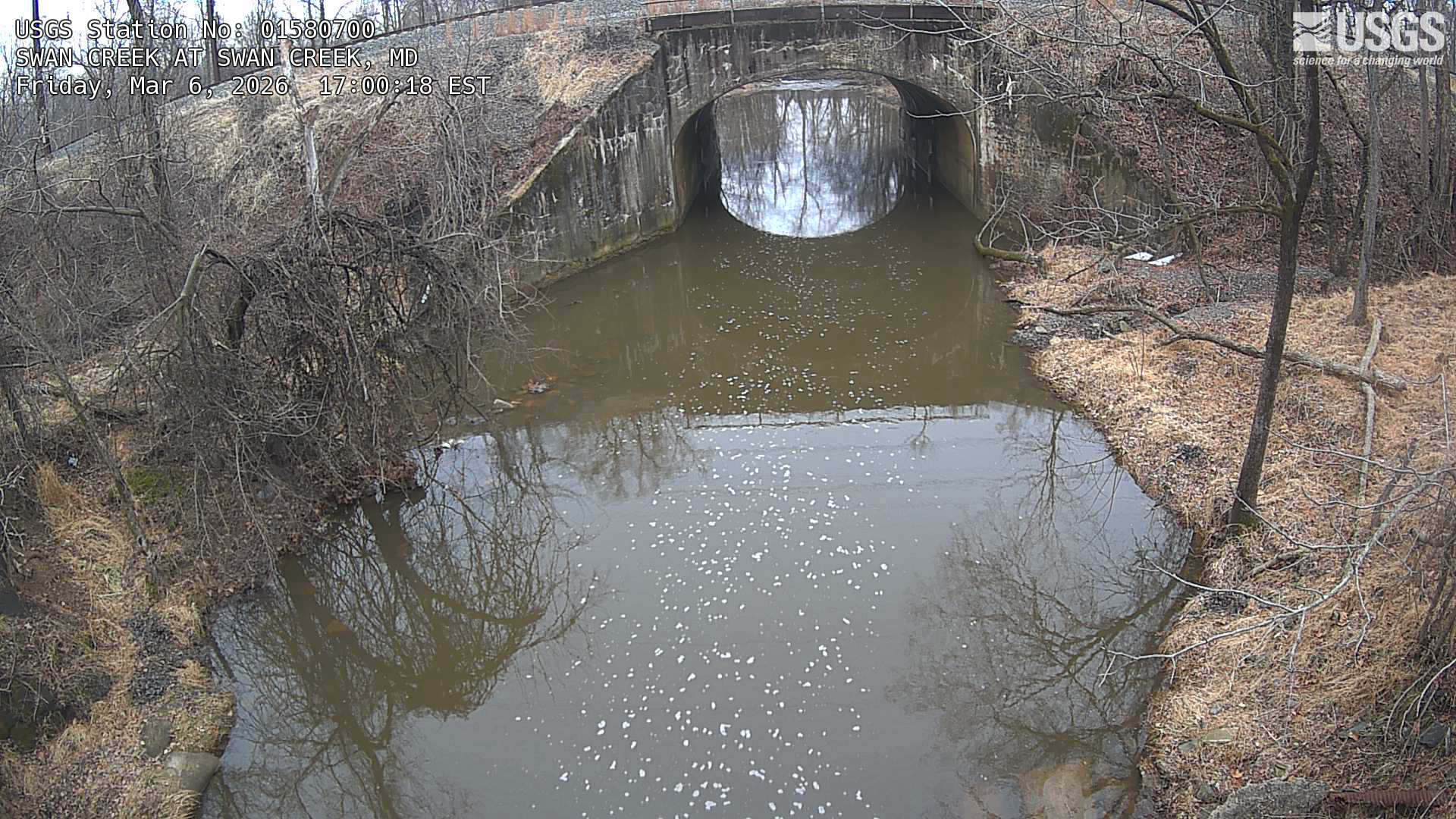 USGS HIVIS CAM SWAN CREEK AT SWAN CREEK
