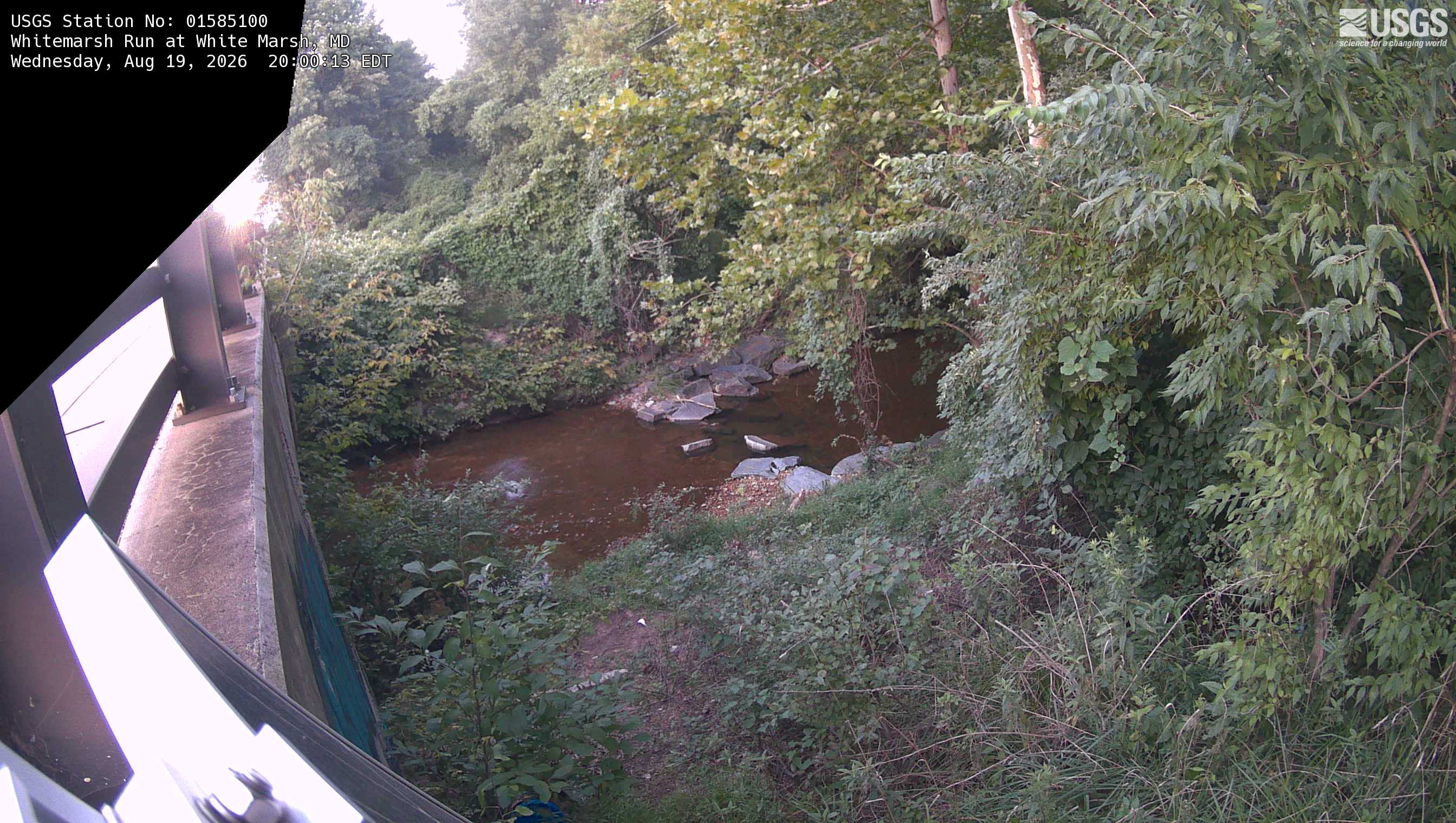 Most recent image at Whitemarsh Run at White Marsh
