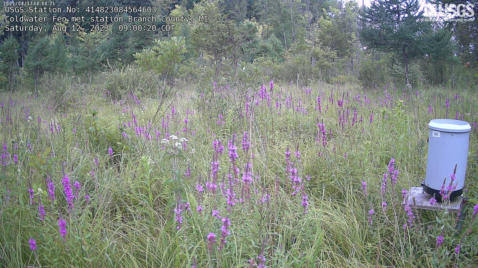 USGS HIVIS CAM Coldwater Fen met station Branch County