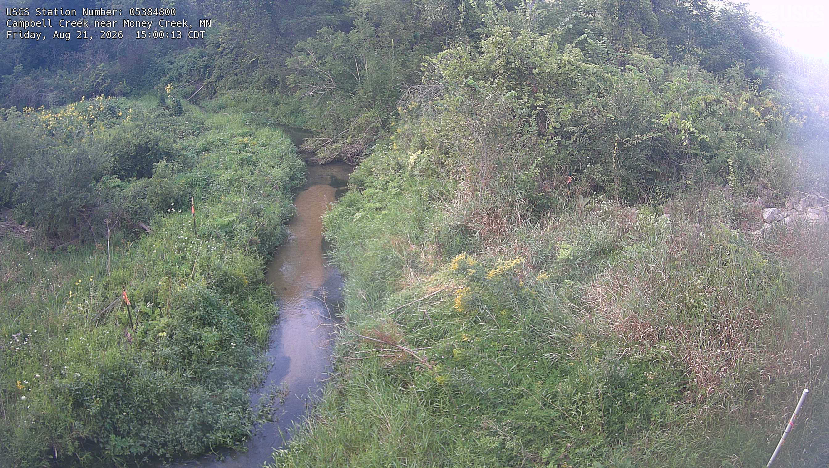 Most recent image at Campbell Creek near Money Creek