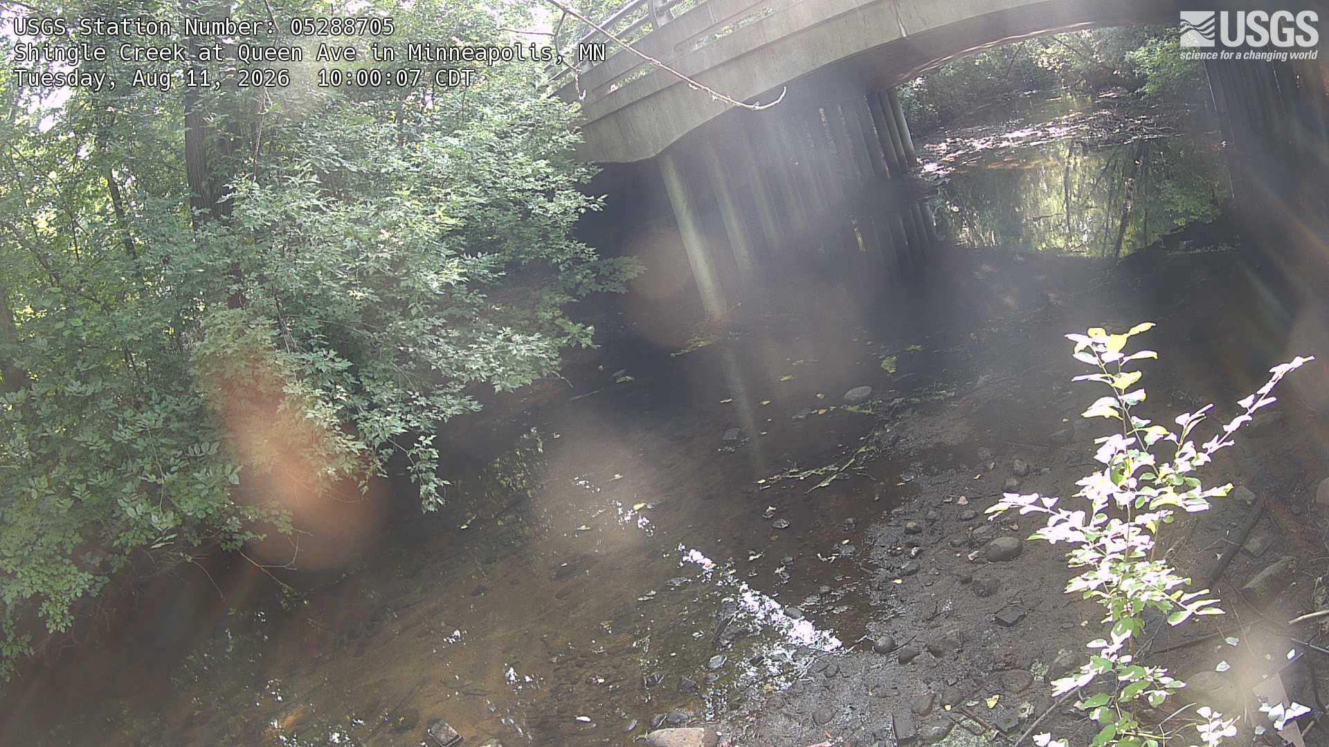 Most recent image at Shingle Creek at Queen Ave in Minneapolis