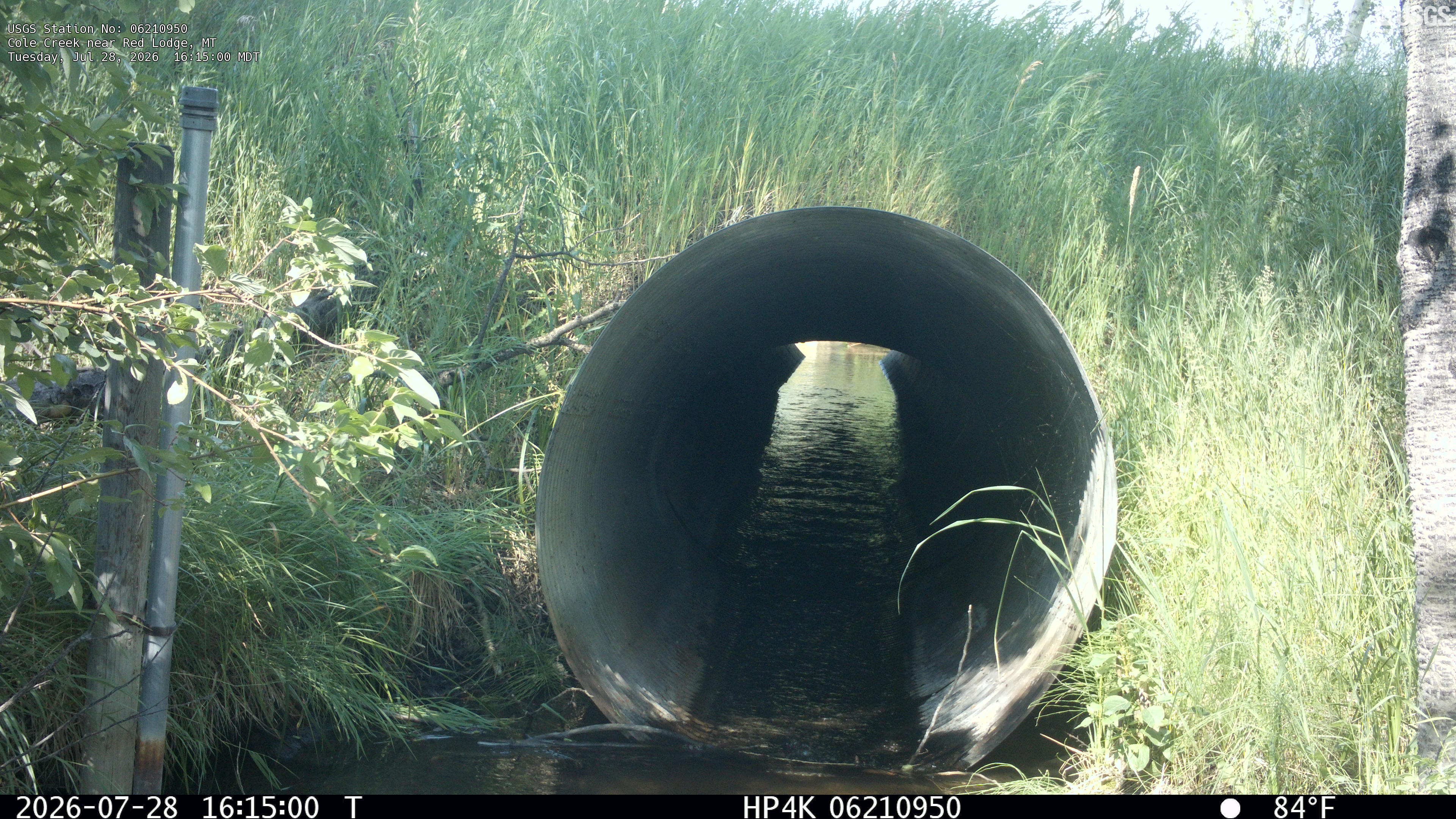 Most recent image at Cole Creek near Red Lodge