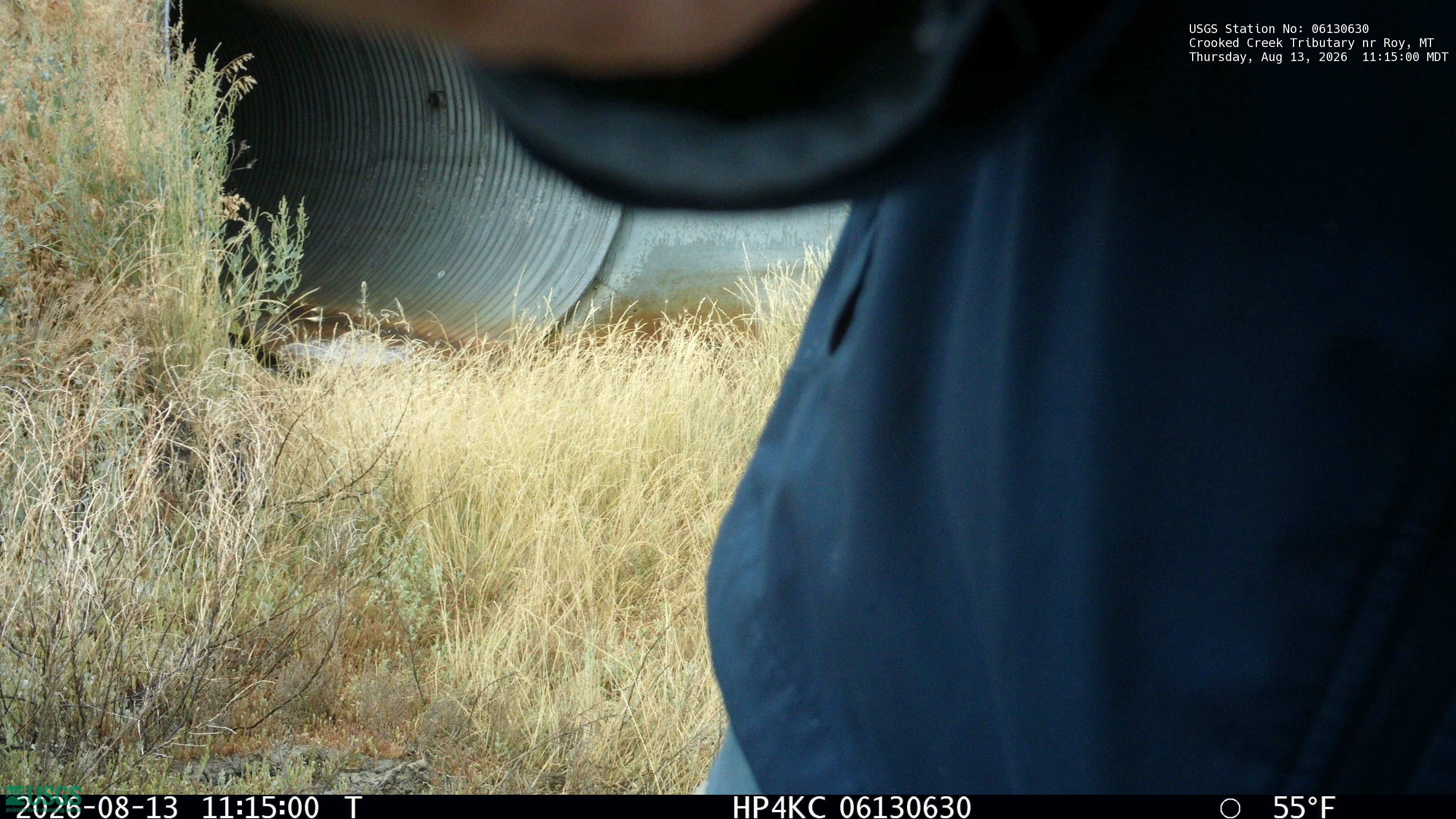 Most recent image at Crooked Creek Tributary nr Roy