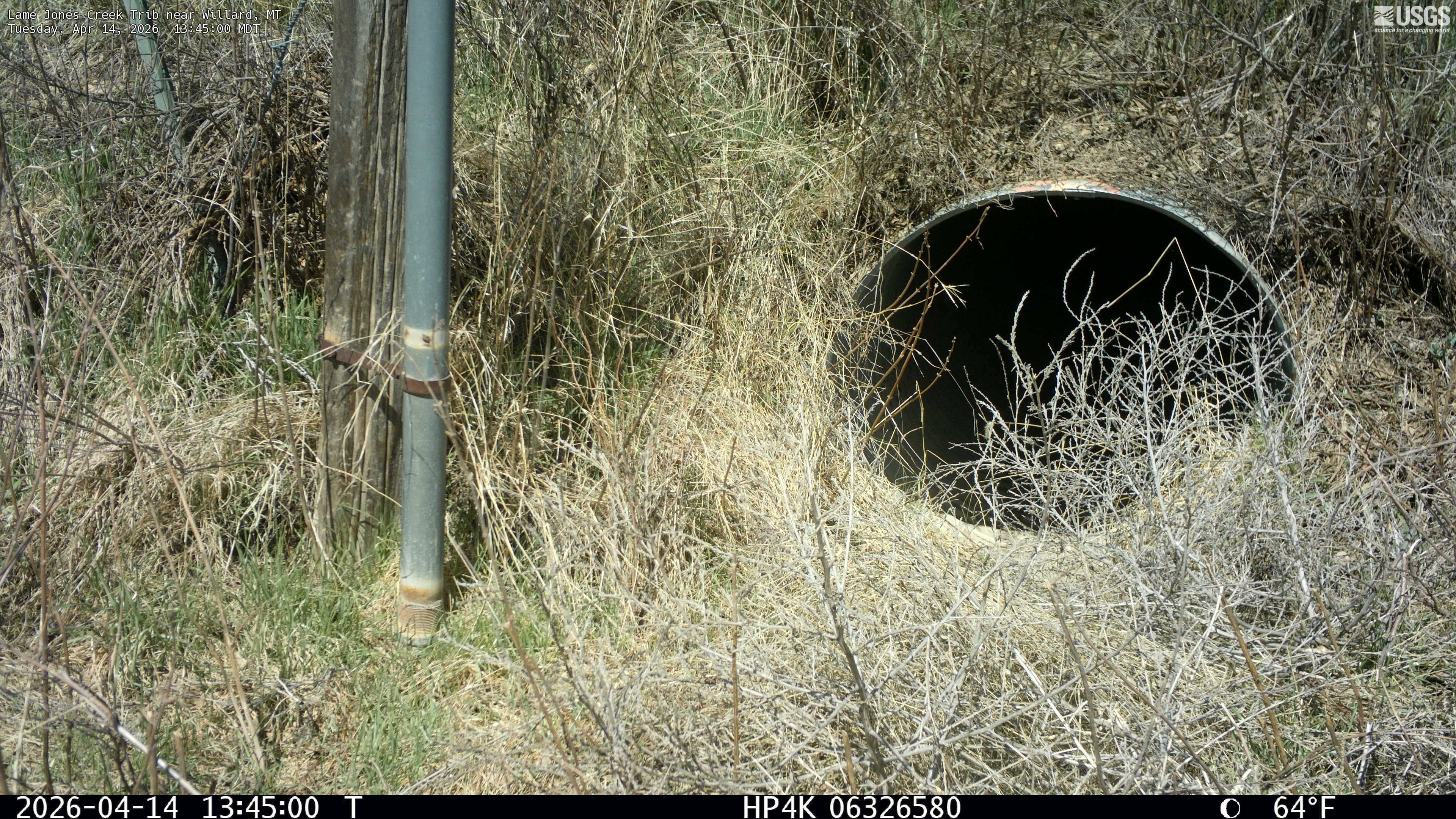 Most recent image at Lame Jones Creek Trib near Willard