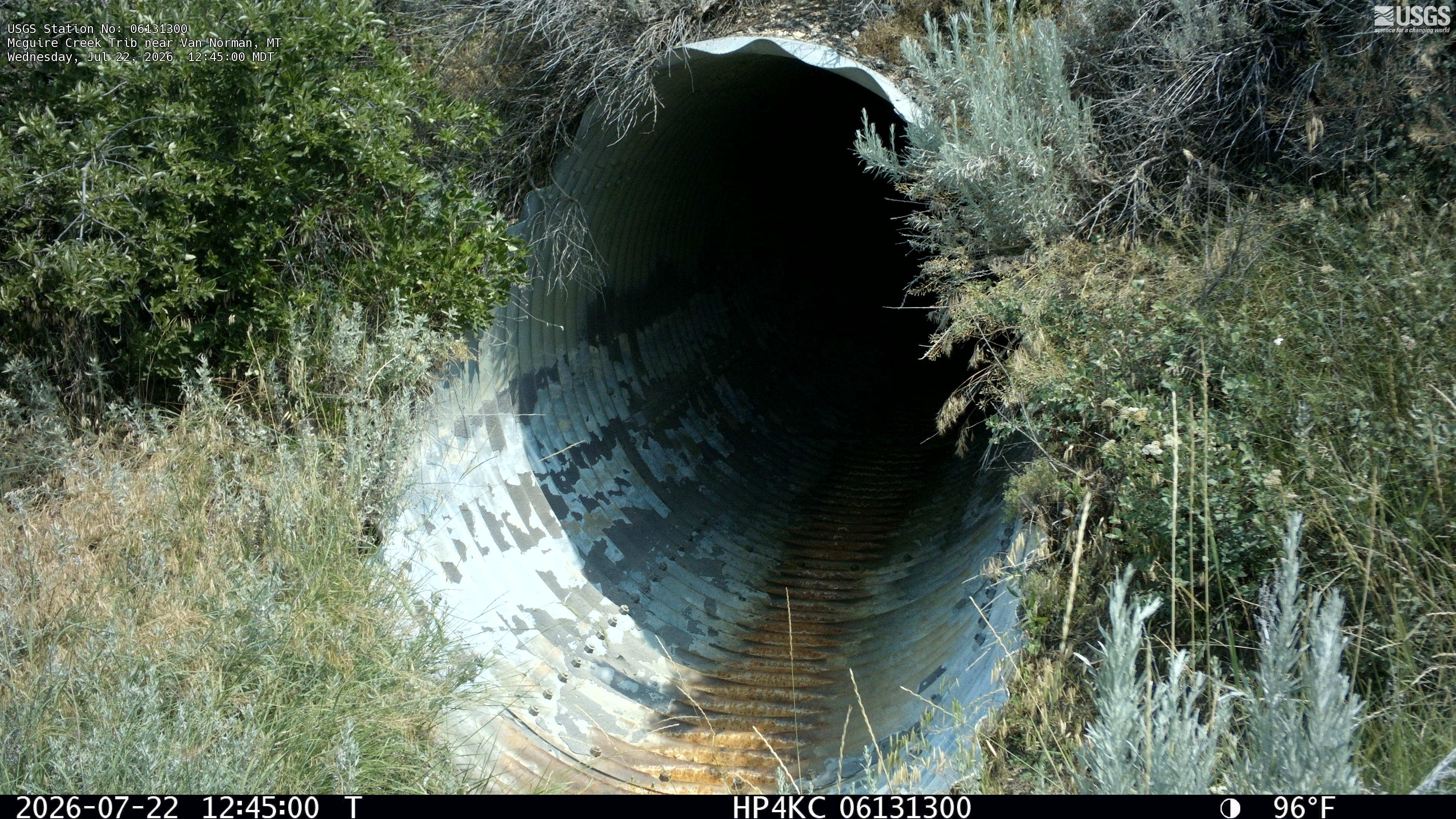 Most recent image at Mcguire Creek Trib near Van Norman