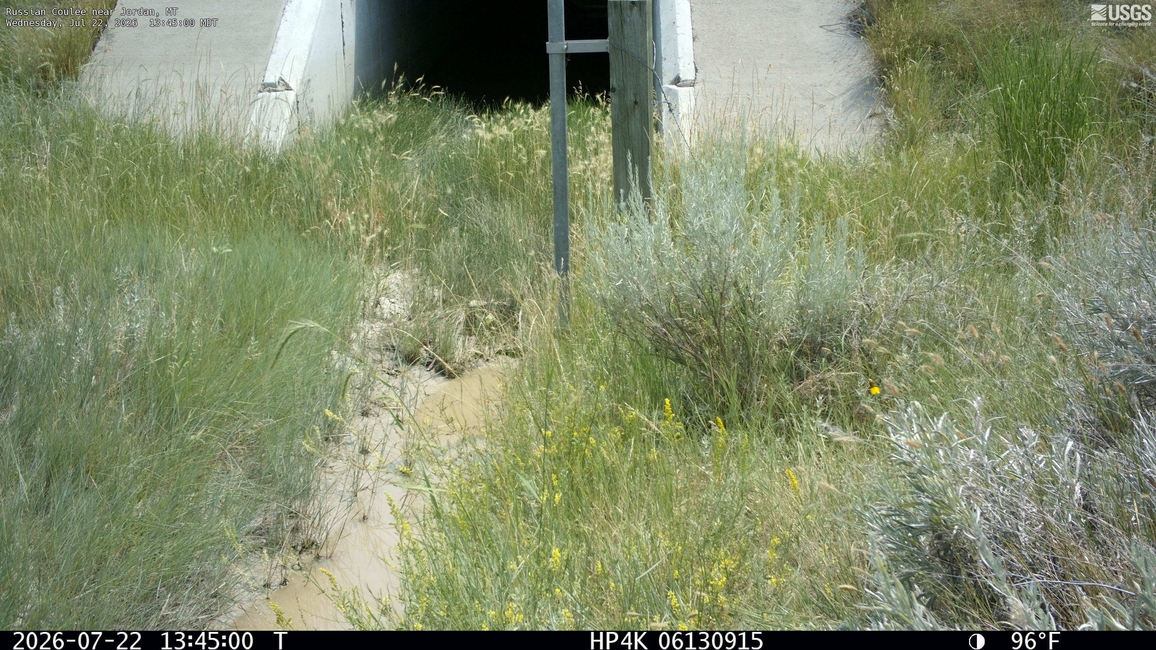 Most recent image at Russian Coulee near Jordan Most recent image at Russian Coulee near Jordan
