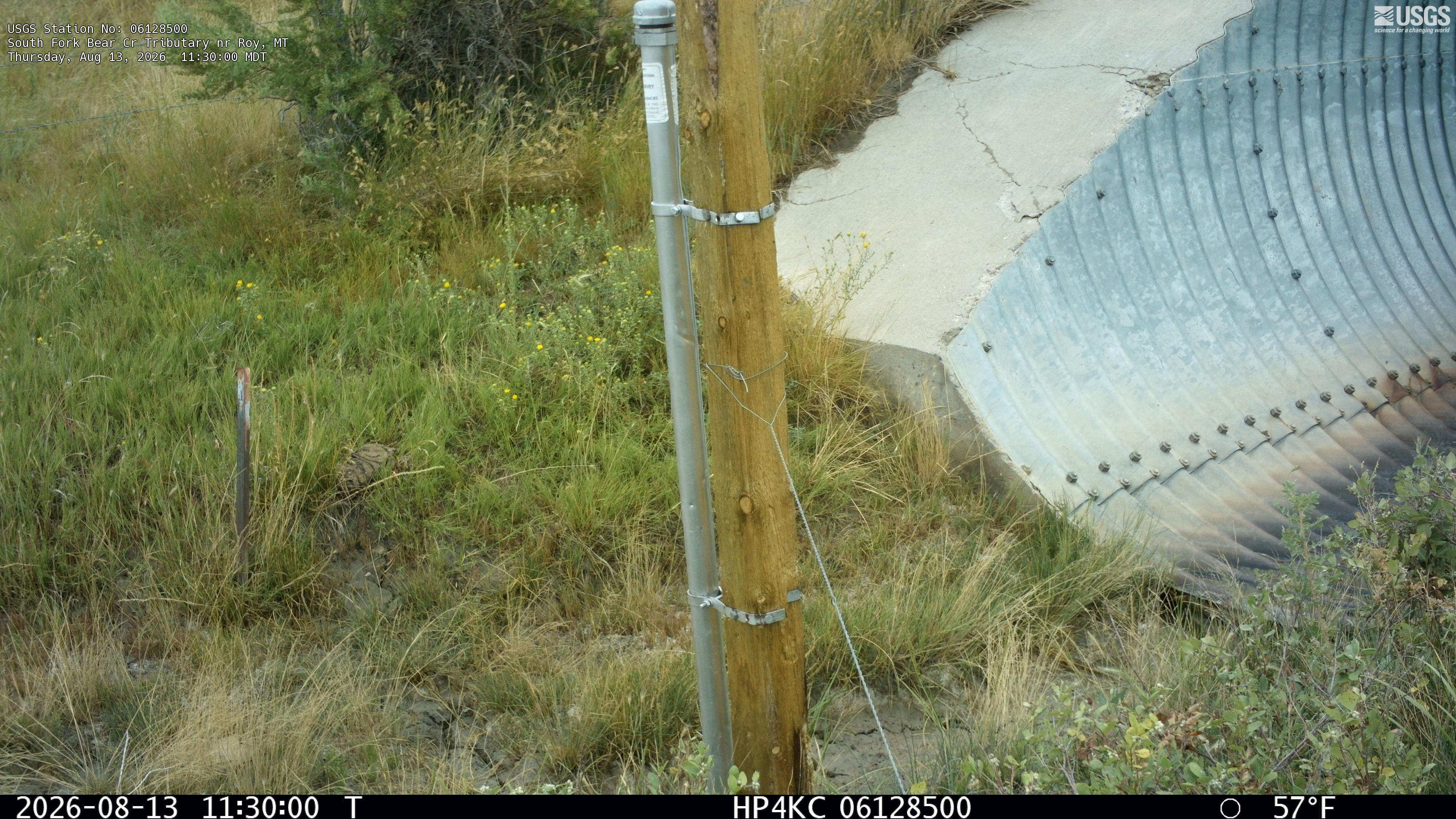 Most recent image at South Fork Bear Cr Tributary nr Roy