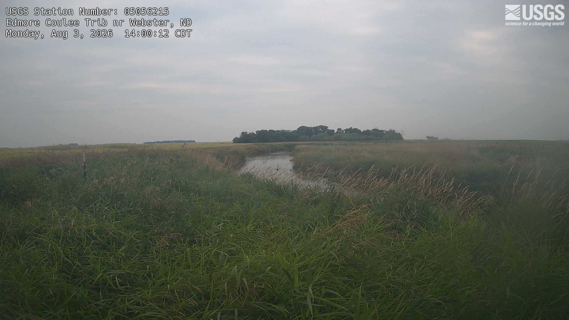 Most recent image at Edmore Coulee Trib nr Webster
