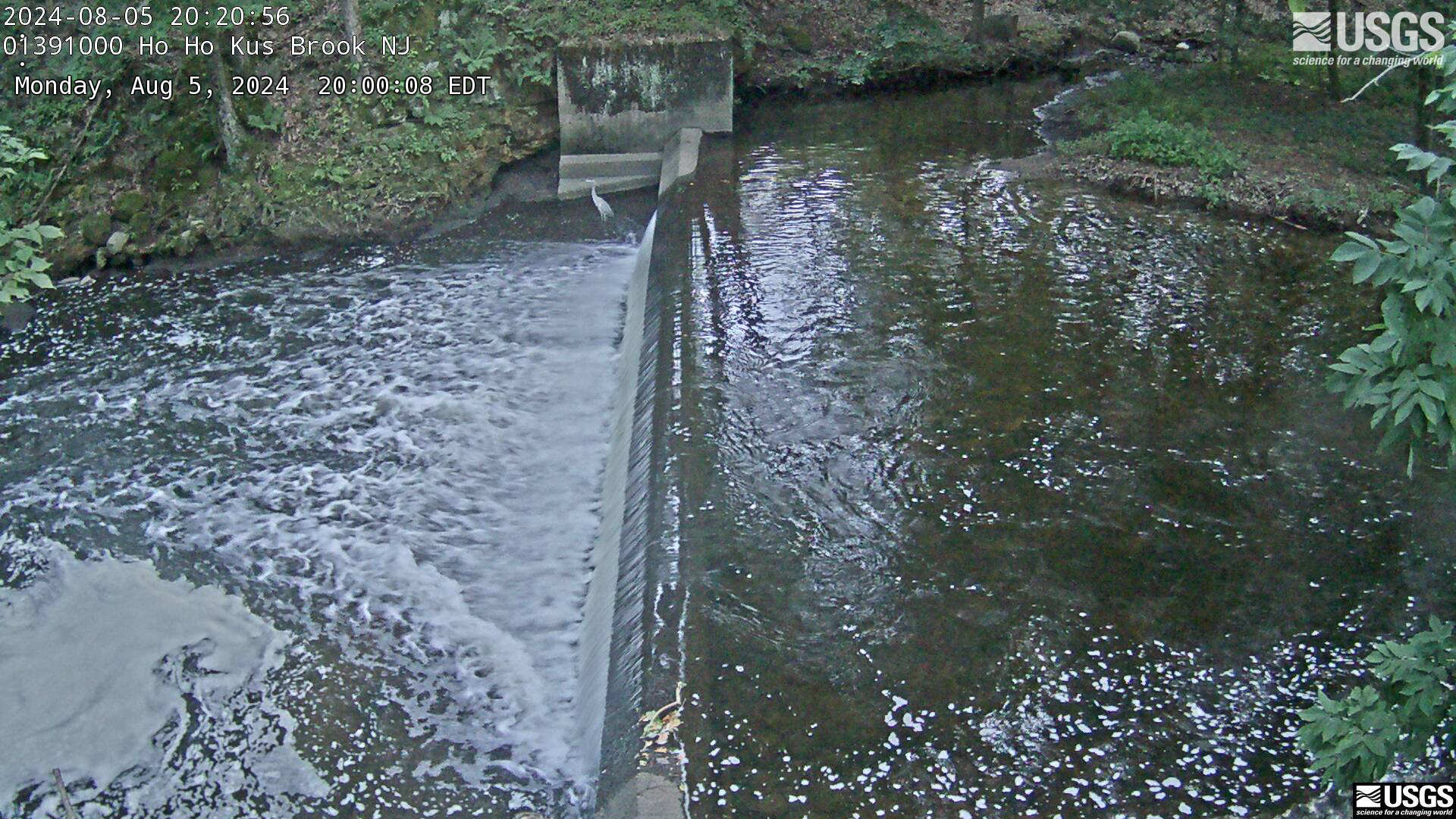 View of the Weir at Hohokus Brook