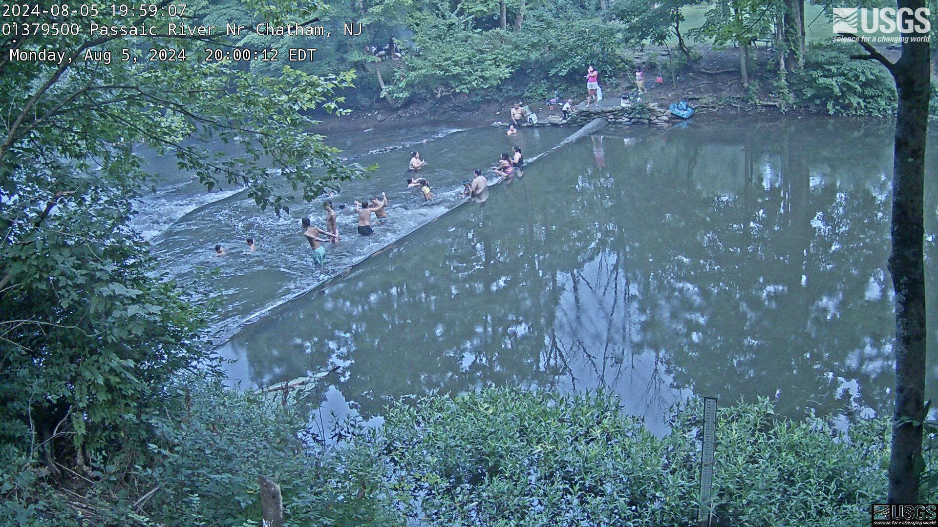 View of the weir in the Passaic River 