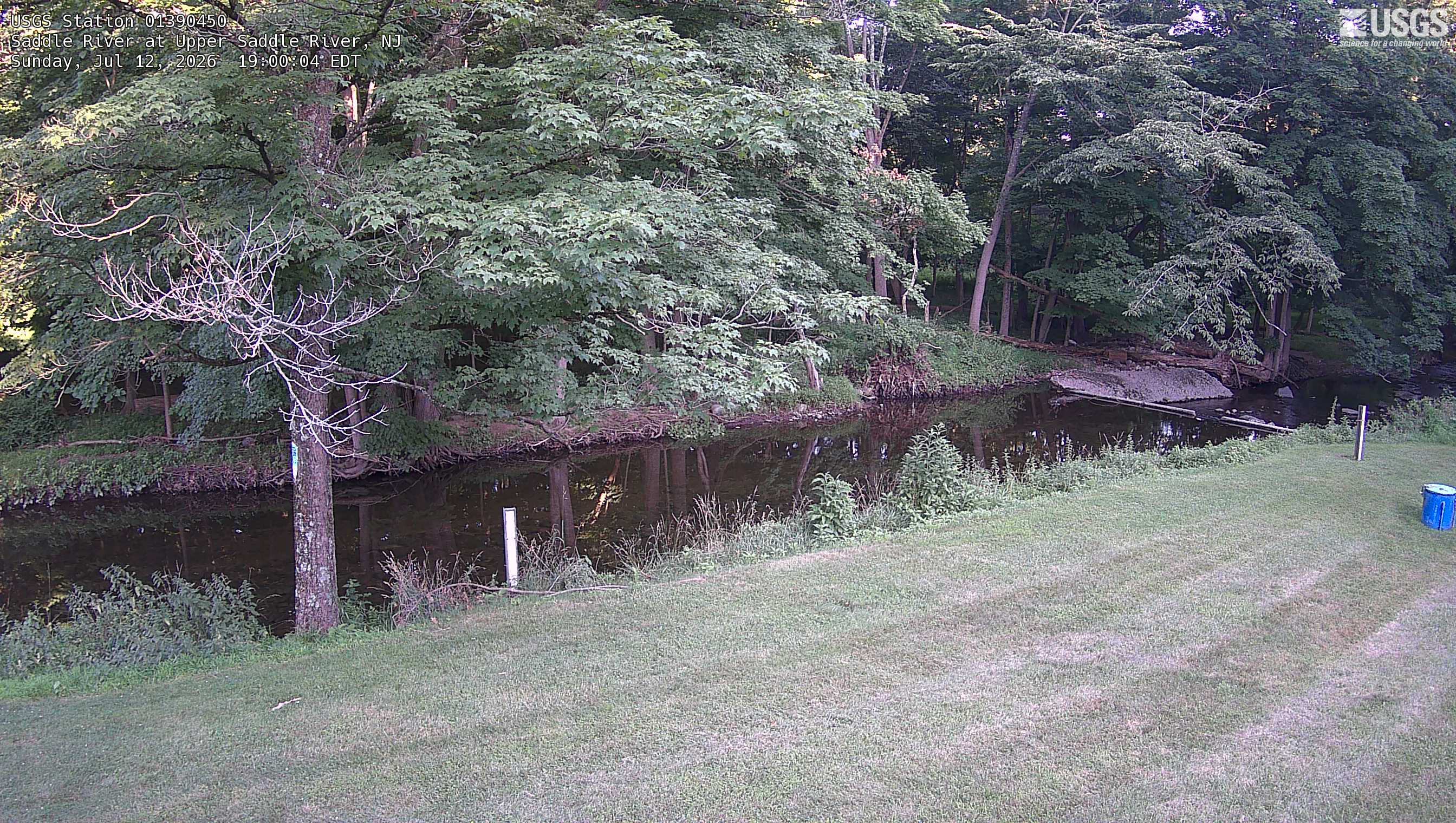 Looking at the river across a small field with a tree next to the staff