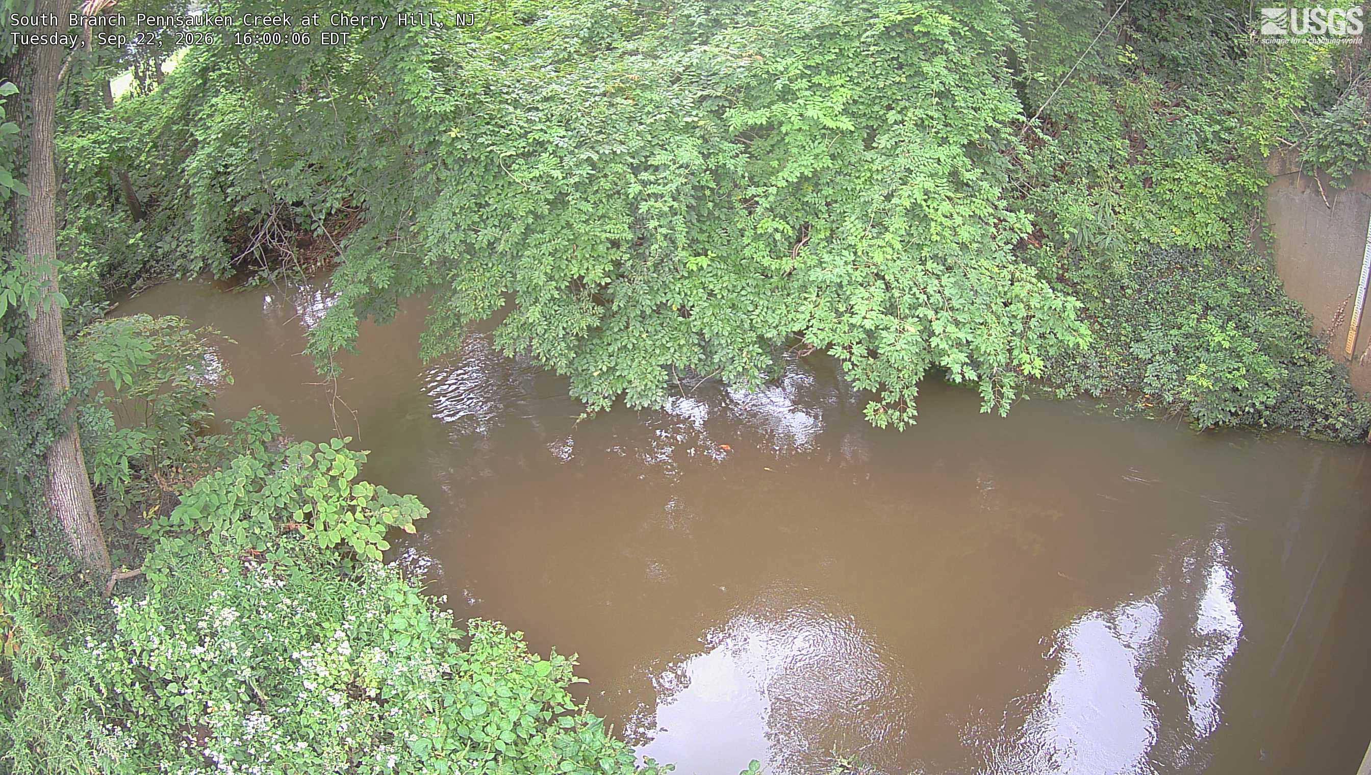 Most recent image at South Branch Pennsauken Creek at Cherry Hill