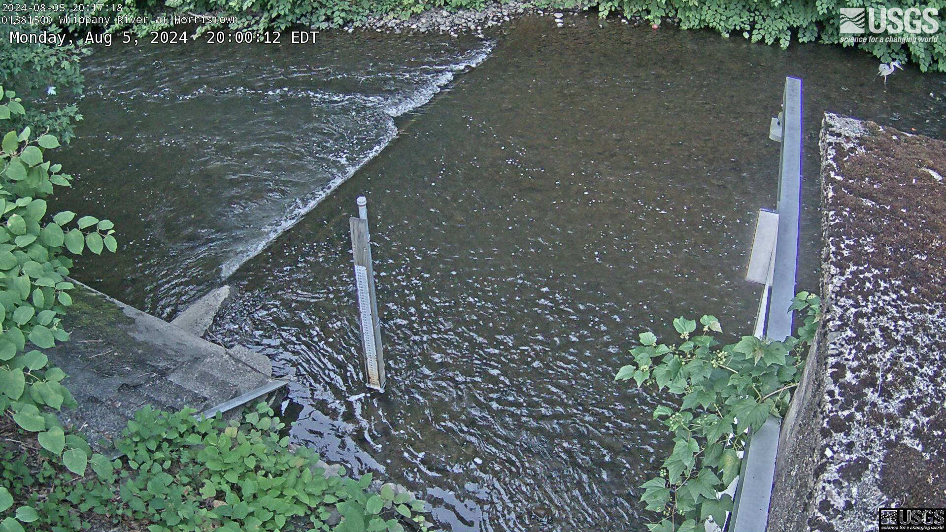 View of the Staff at the Whippany River measuring site
