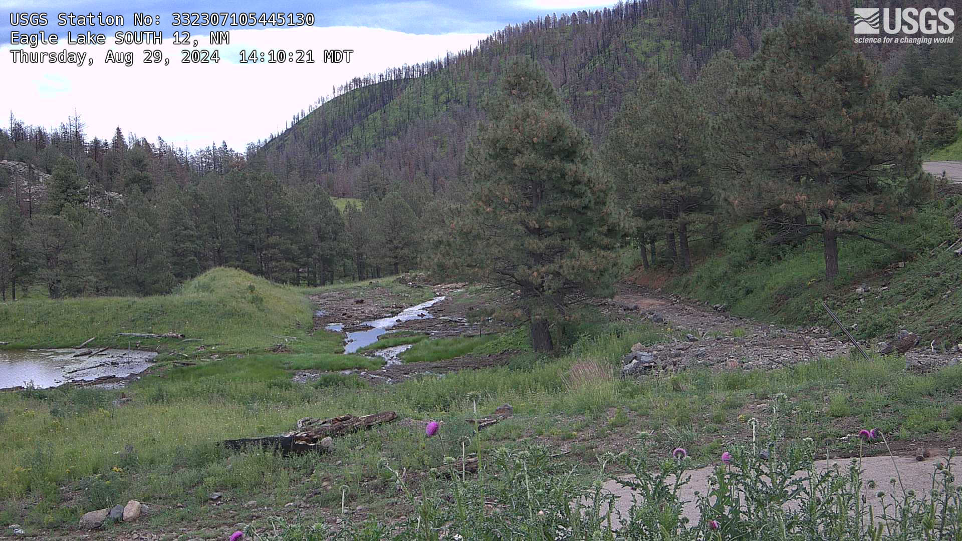 Eagle Lake South 12 Webcam west of Alto, NM