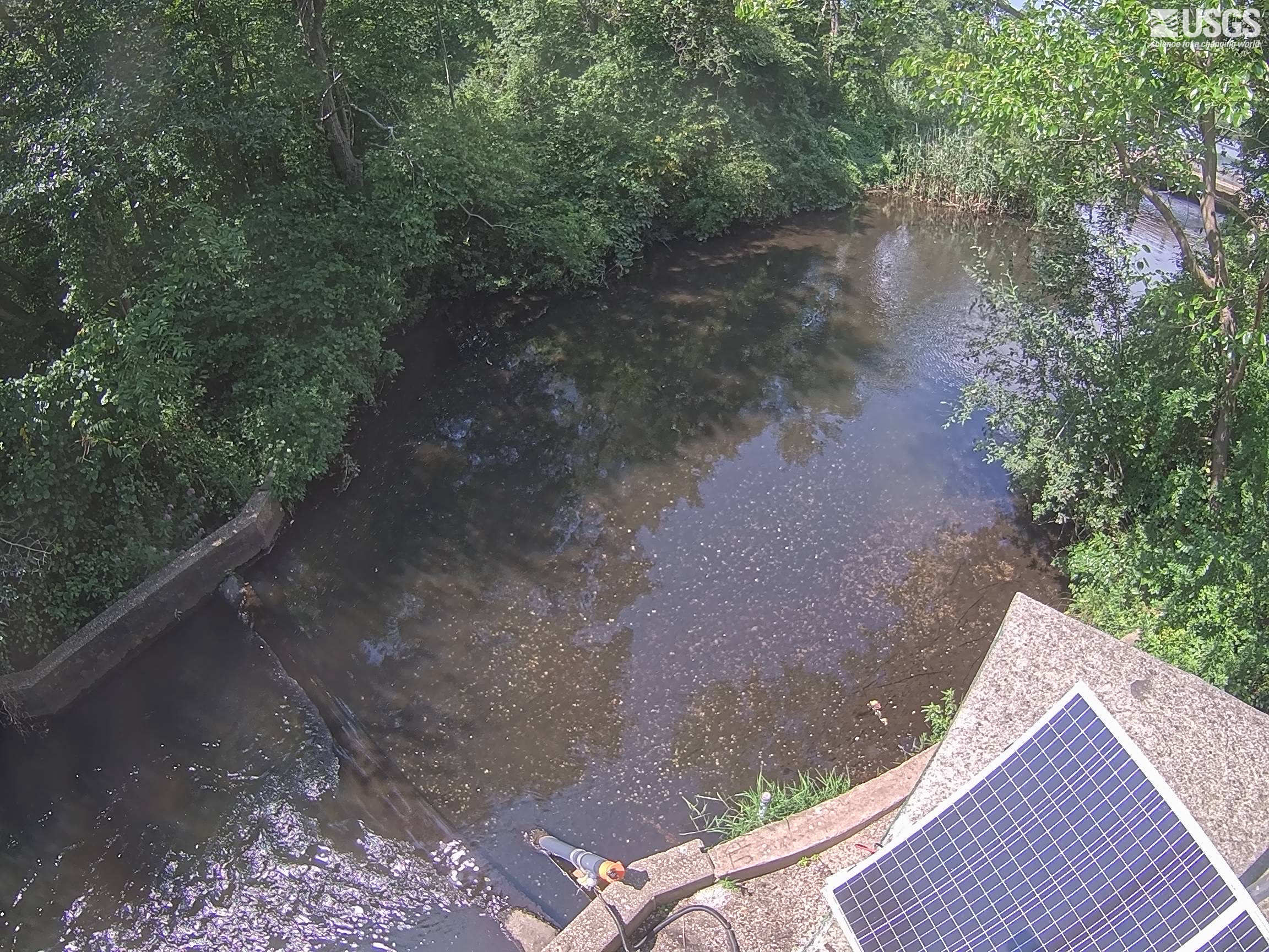 Most recent image at Carlls River at Babylon