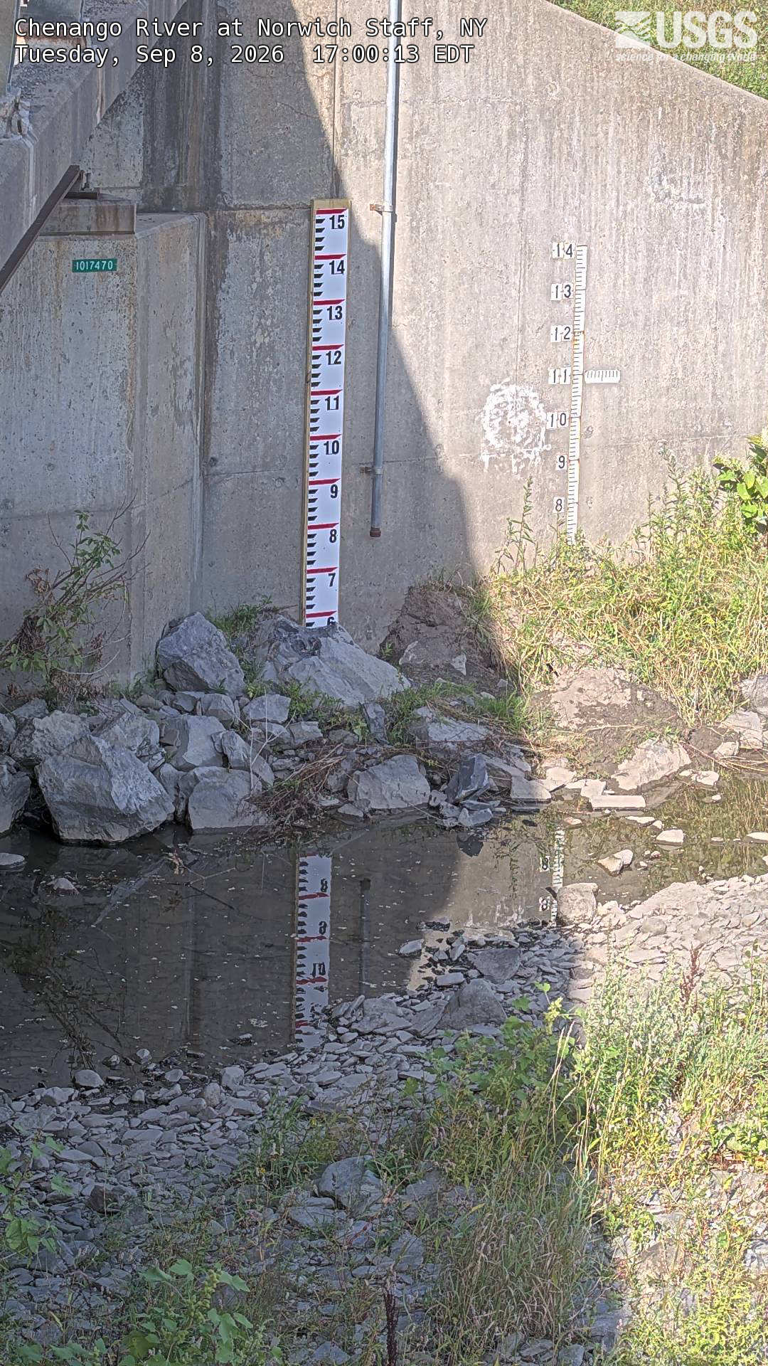 Most recent image at Chenango River at Norwich Staff