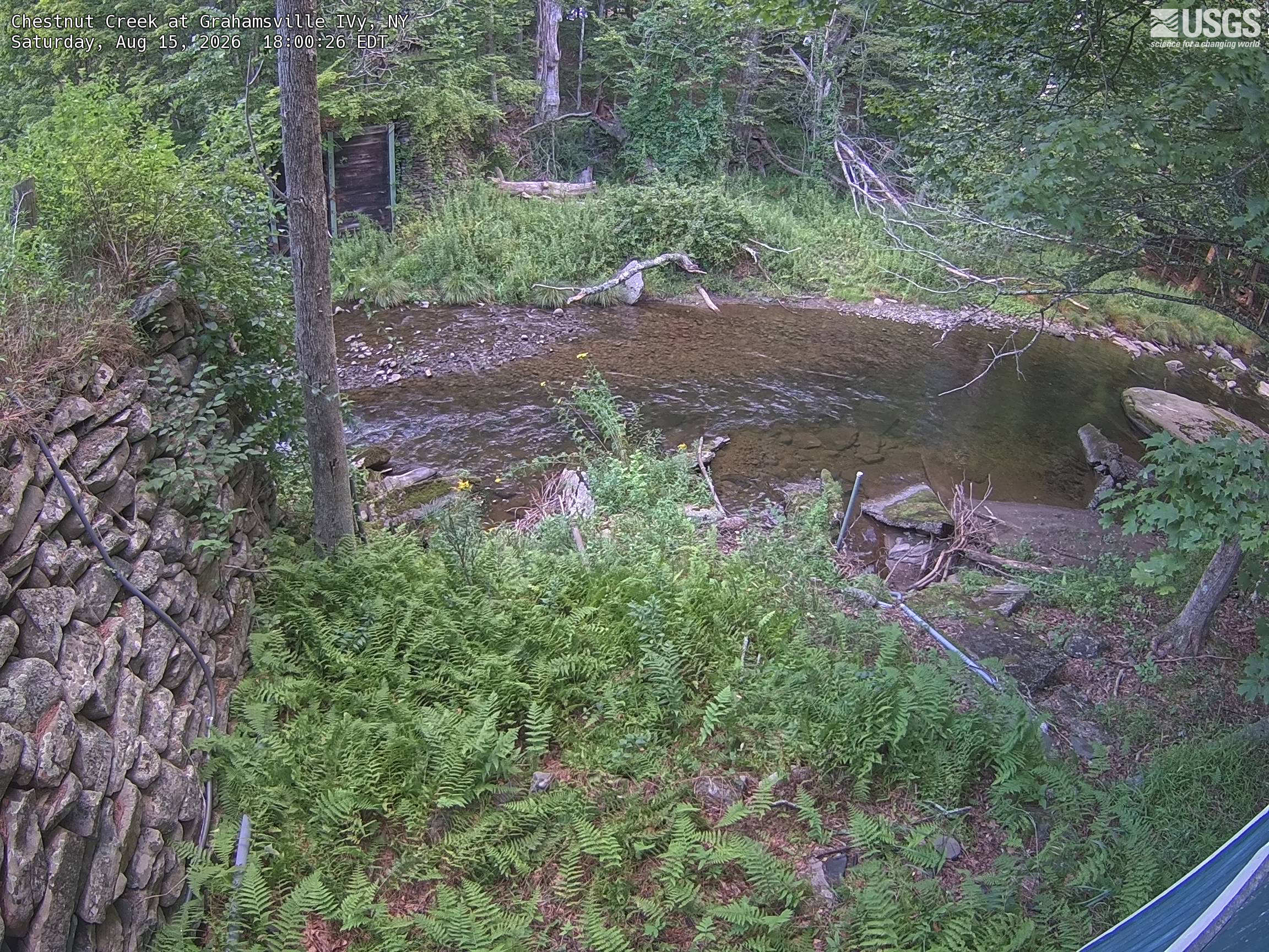 Most recent image at Chestnut Creek at Grahamsville IVy