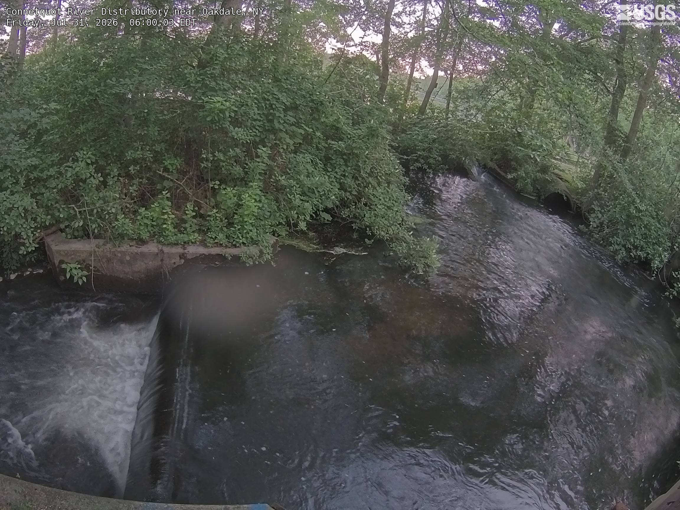 Most recent image at Connetquot River Distributory near Oakdale