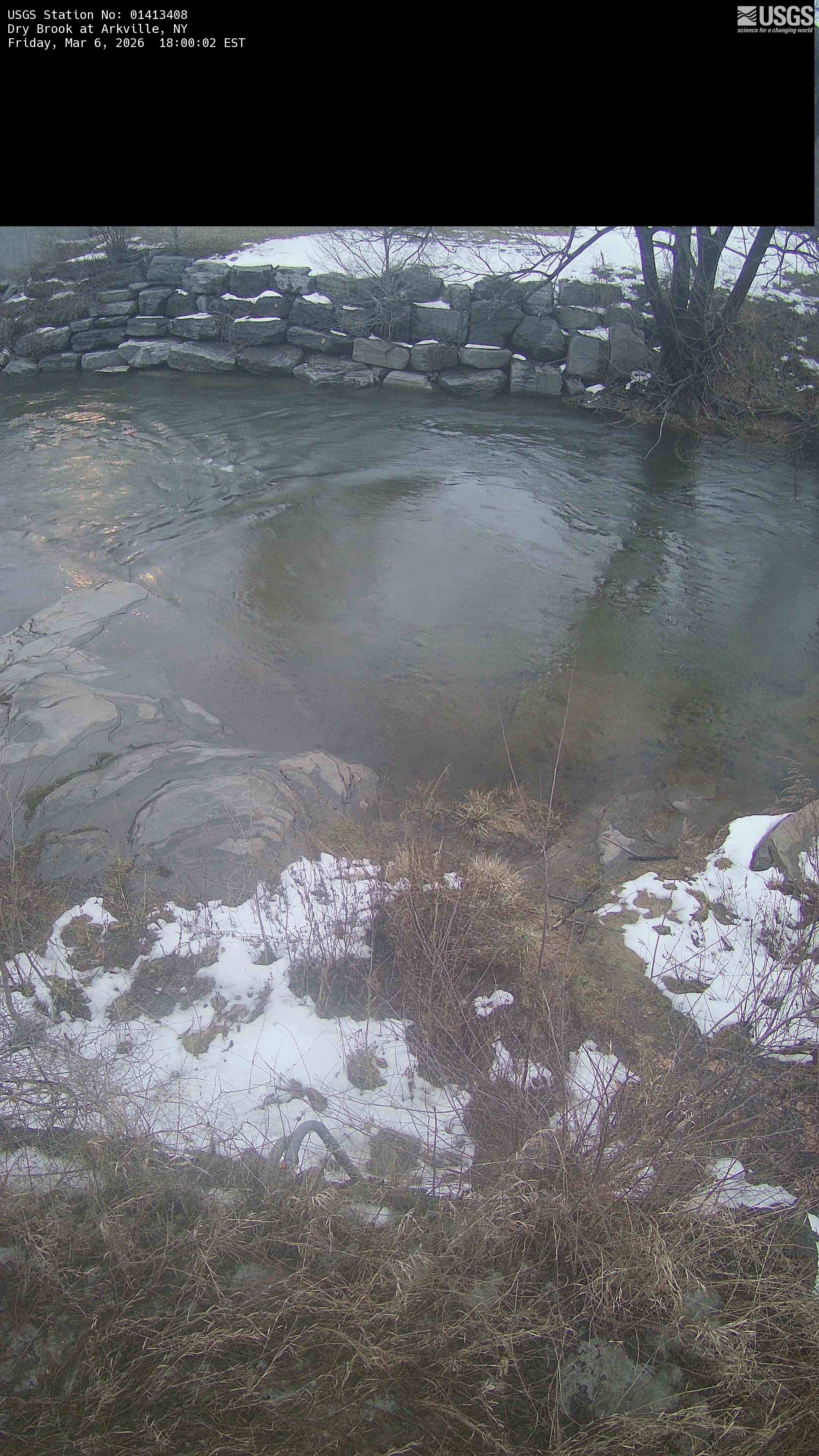 USGS HIVIS CAM Dry Brook at Arkville
