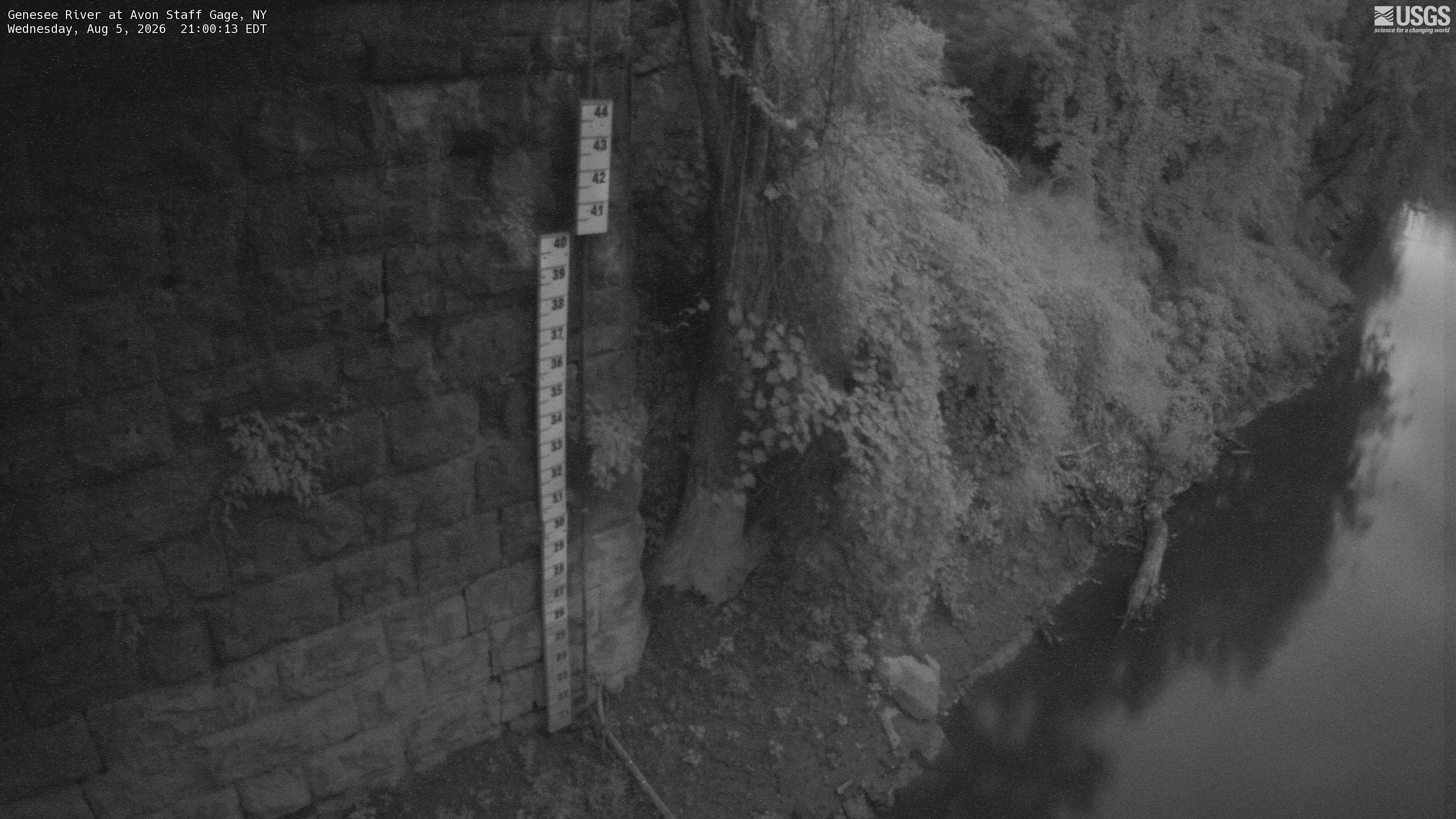 Most recent image at Genesee River at Avon Staff Gage