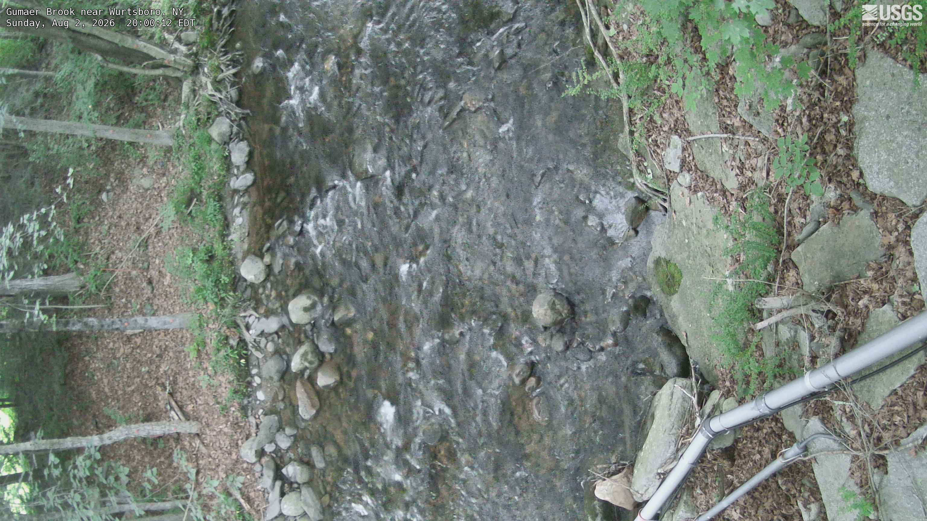 Most recent image at Gumaer Brook near Wurtsboro