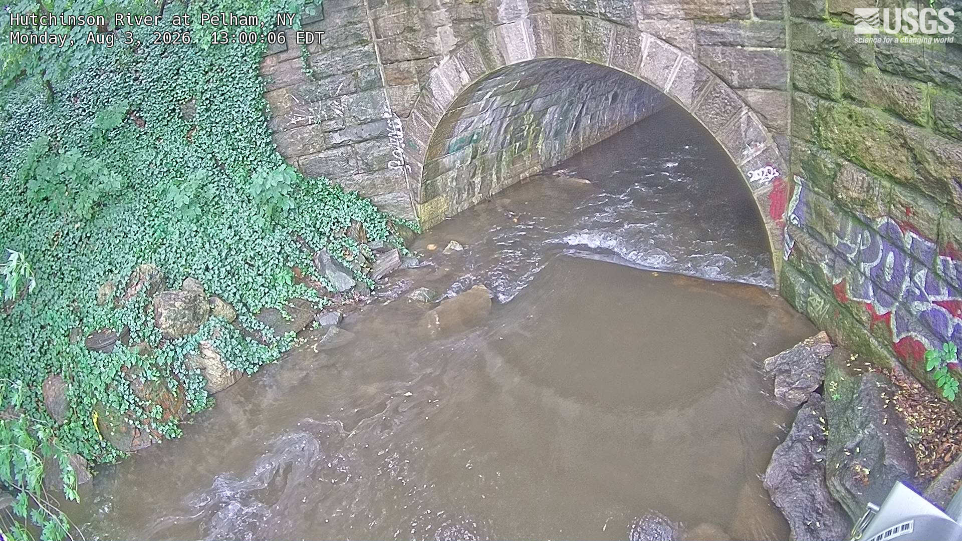 Most recent image at Hutchinson River at Pelham