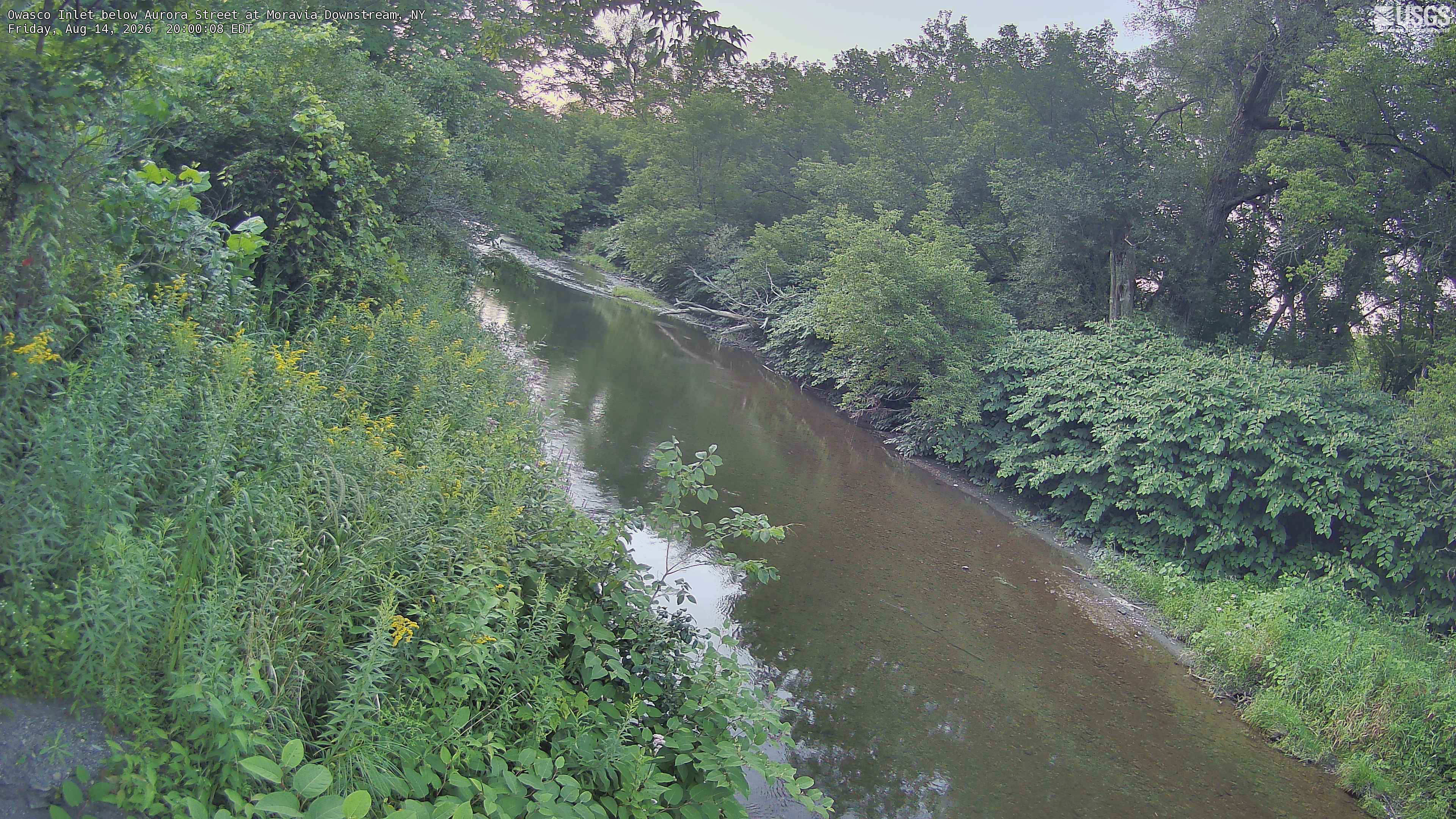 Most recent image at Owasco Inlet below Aurora Street at Moravia Downstream