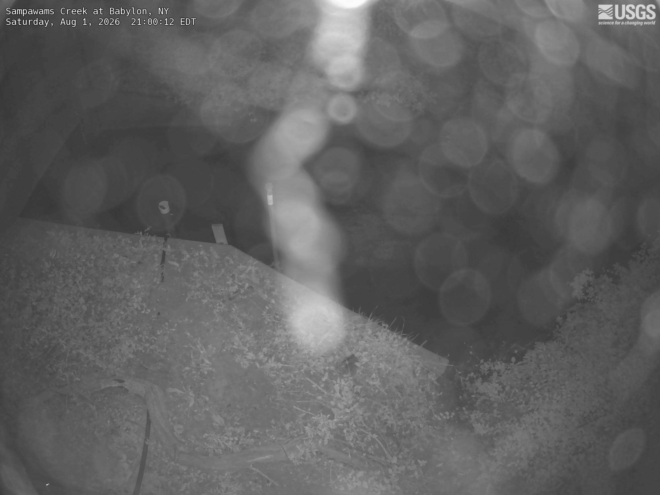 Most recent image at Sampawams Creek at Babylon