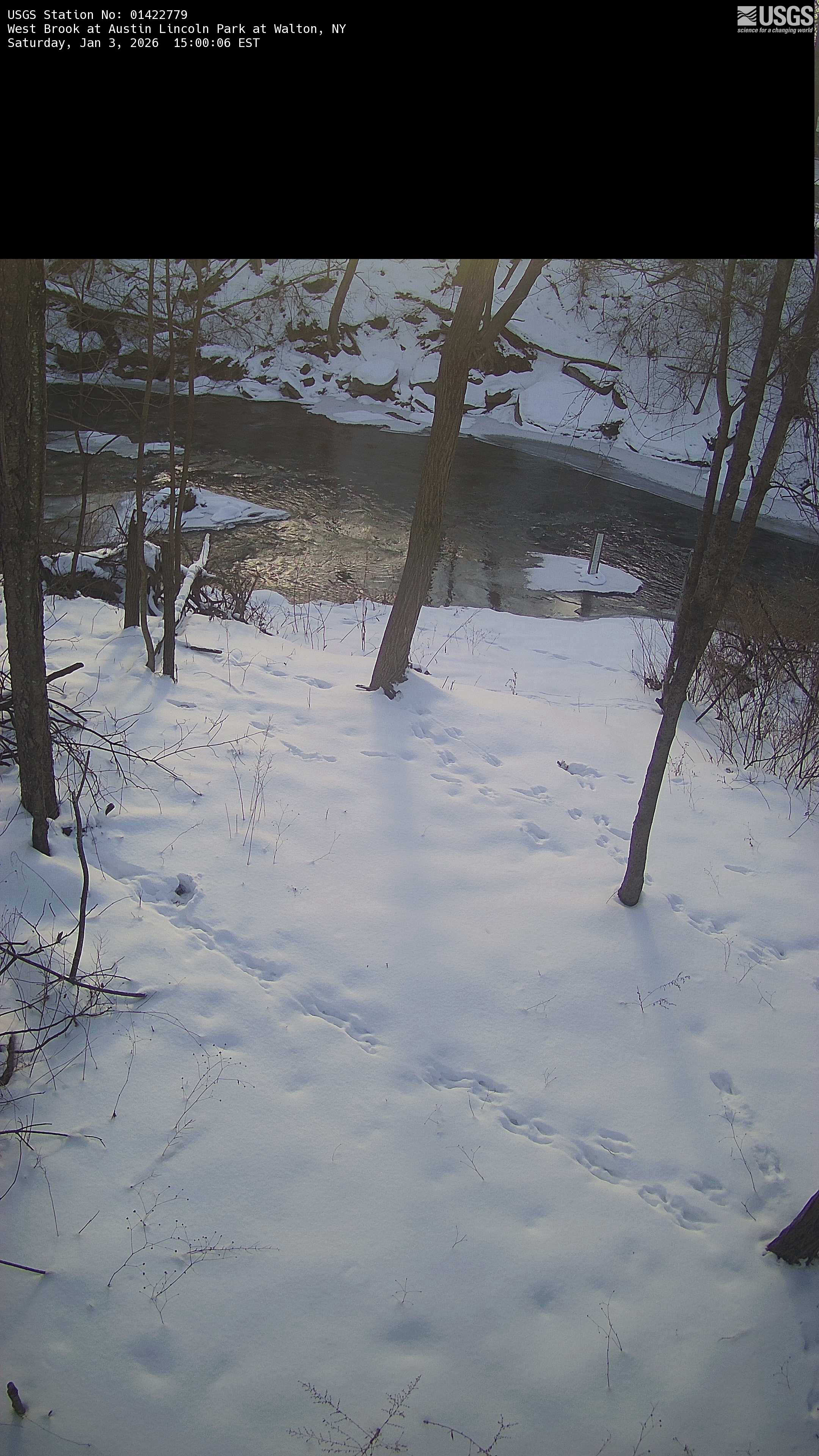 USGS HIVIS CAM West Brook at Austin Lincoln Park at Walton