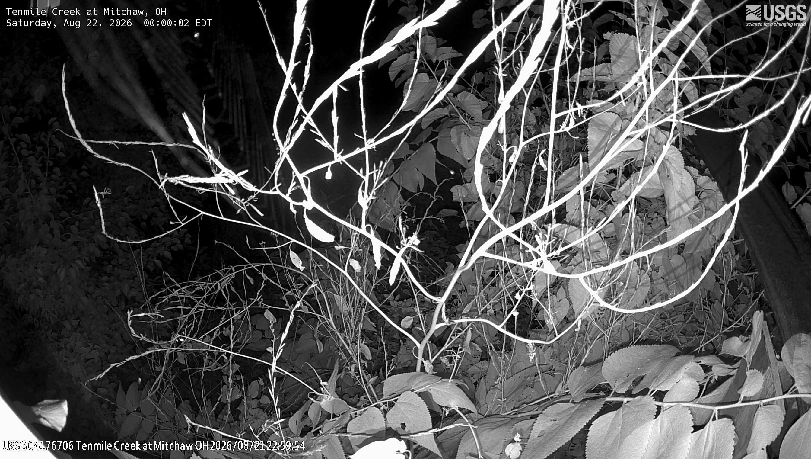 Most recent image at Tenmile Creek at Mitchaw