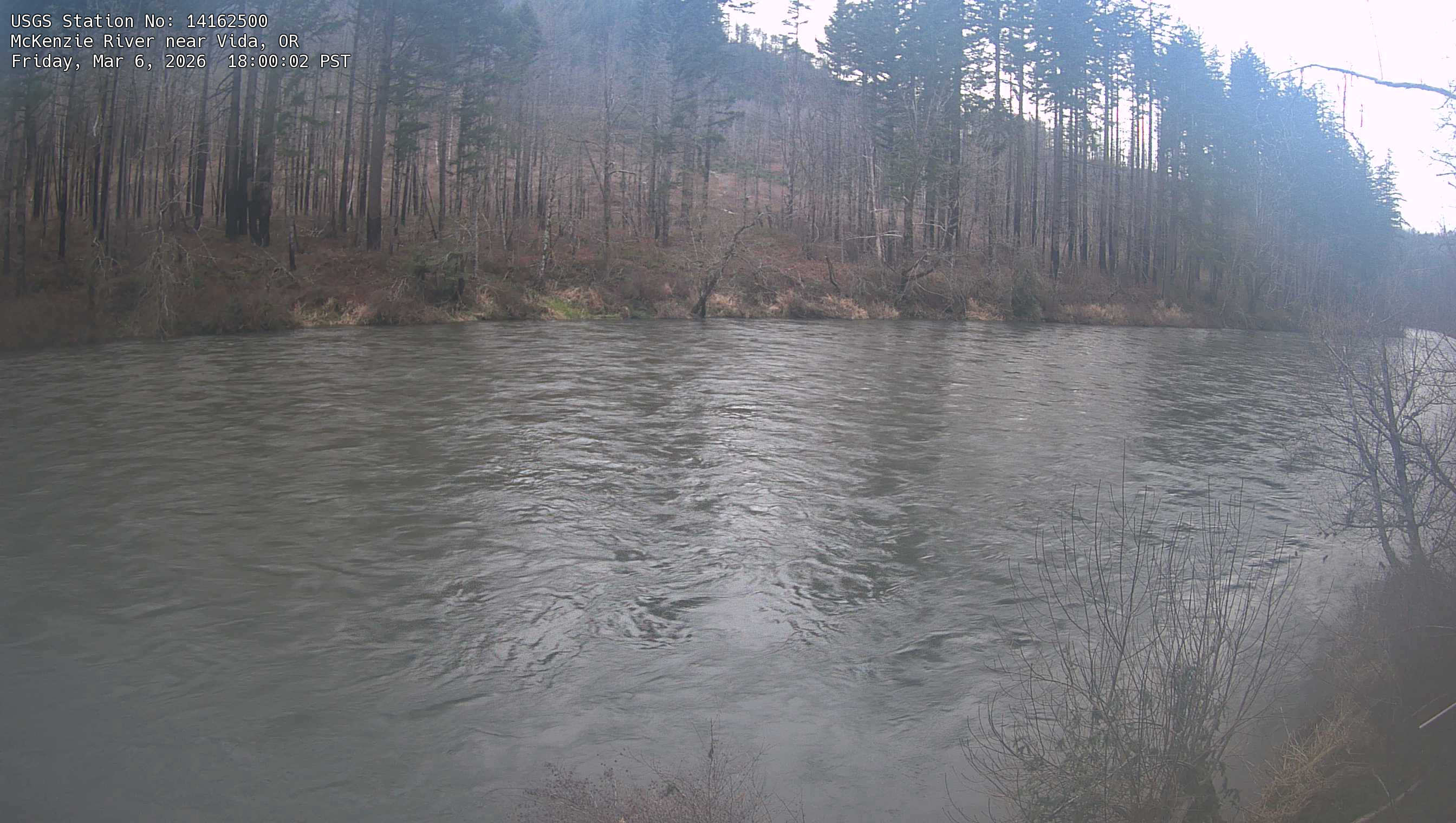 USGS HIVIS CAM McKenzie River near Vida
