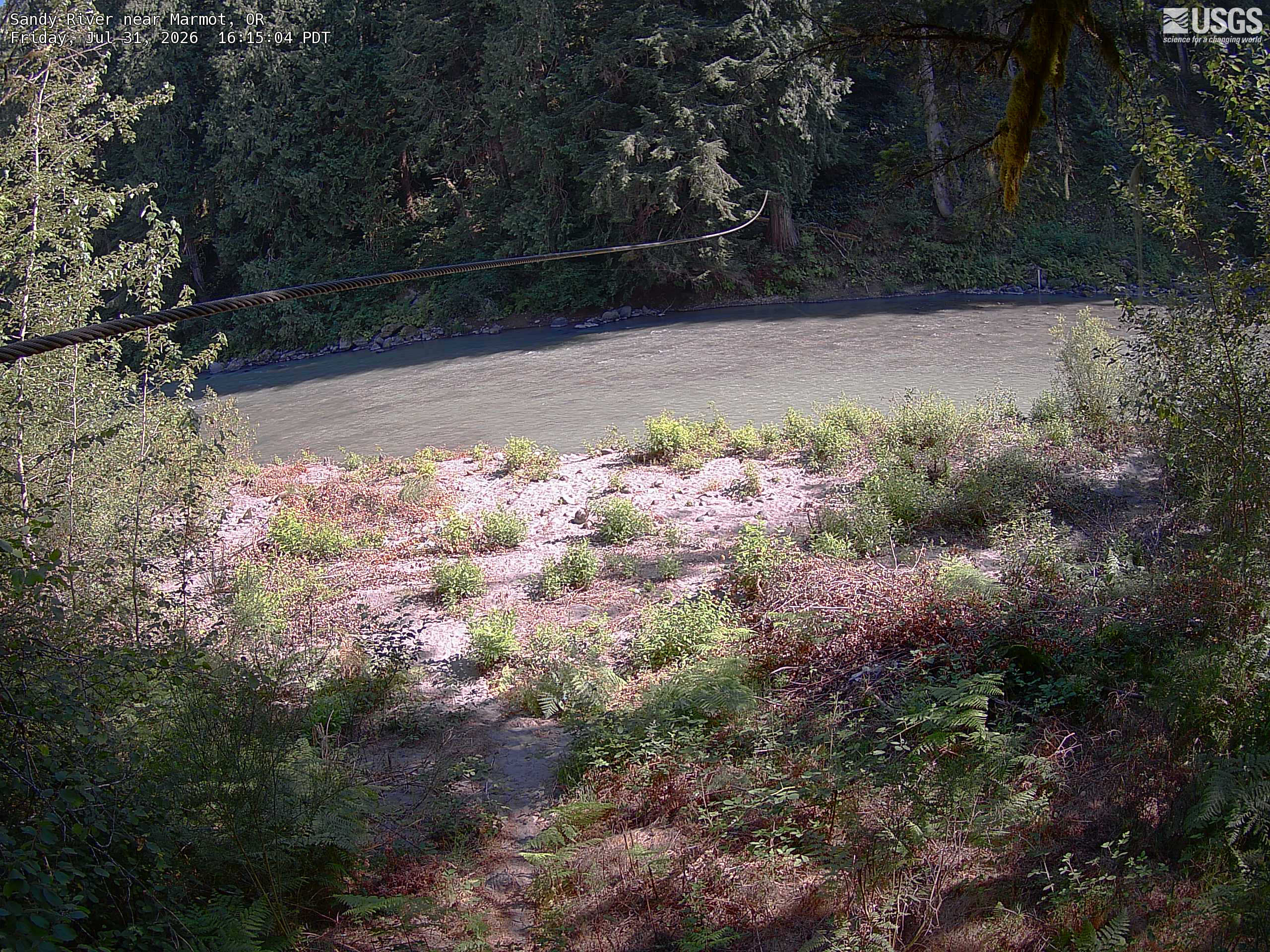 Most recent image at Sandy River near Marmot