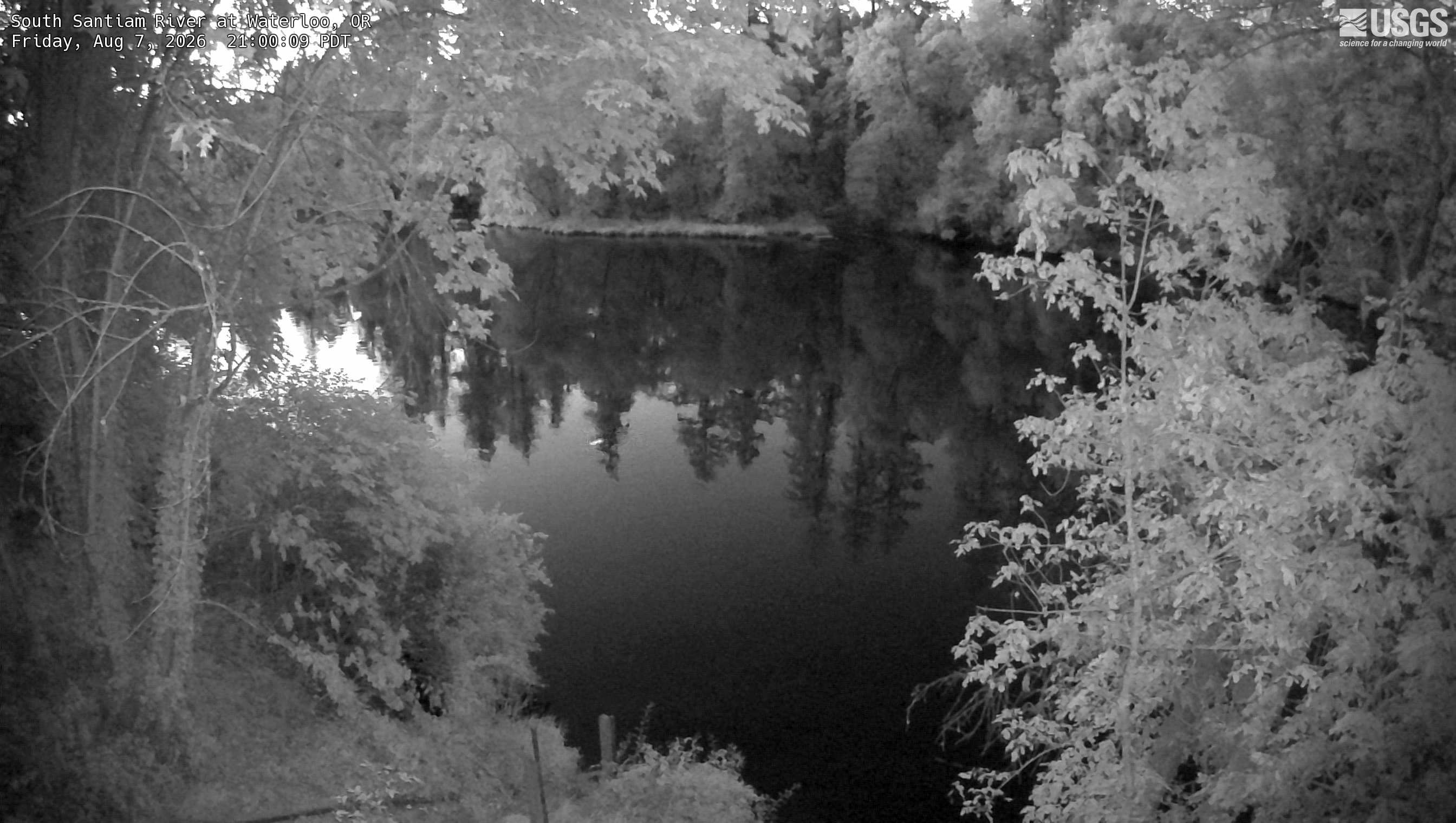Most recent image at South Santiam River at Waterloo